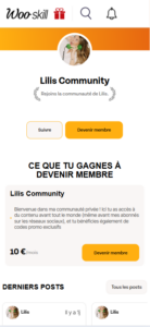 Capture d'écran de la communauté de Lilis