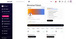 Capture d'écran du tableau de bord de Thibault, Consultant SEO