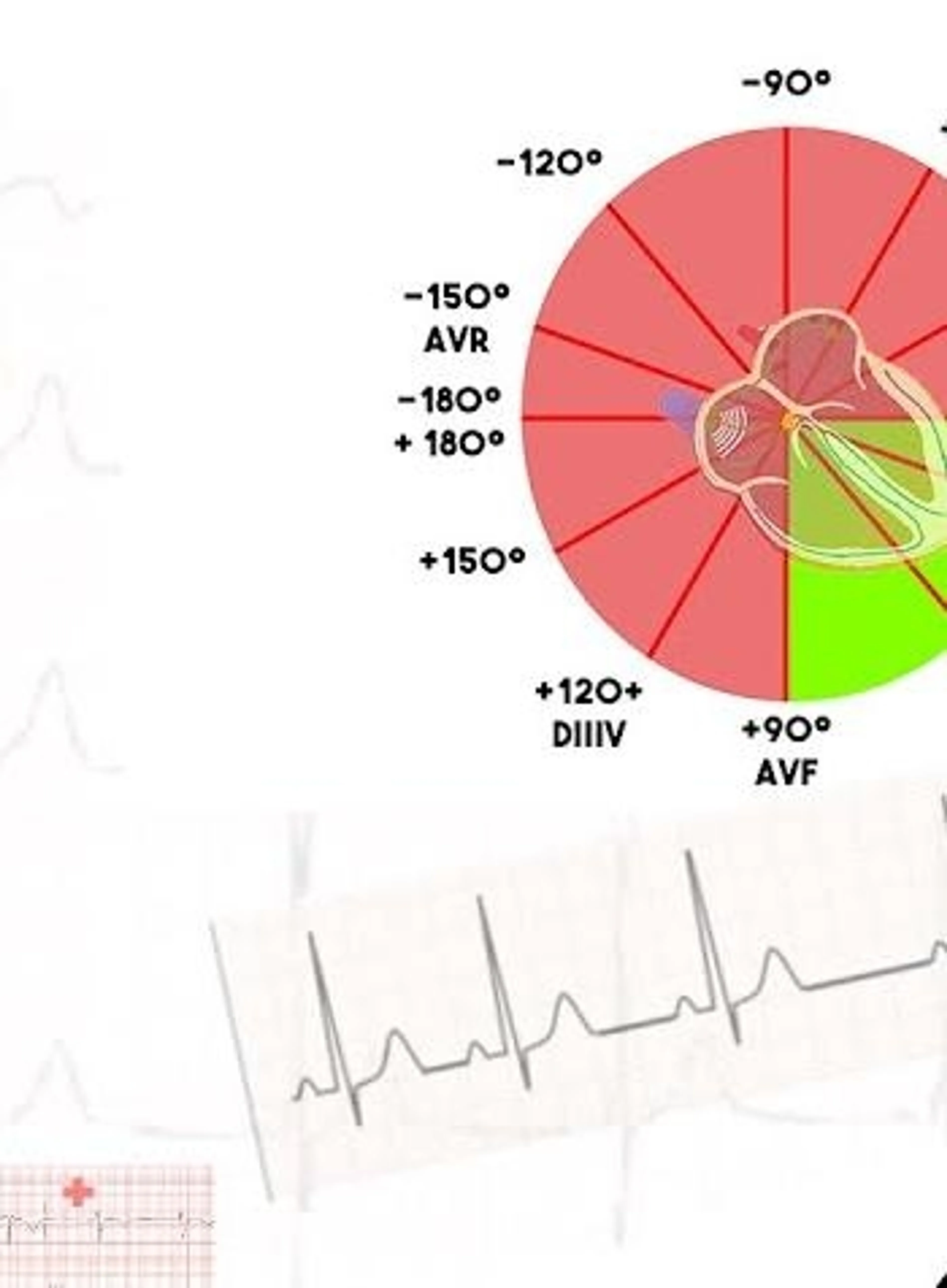 Image de présentation pour l'offre Lecture ECG 1 : les bases (activité électrique et mécanique cardiaque, rythme et fréquence) par Jérémy
