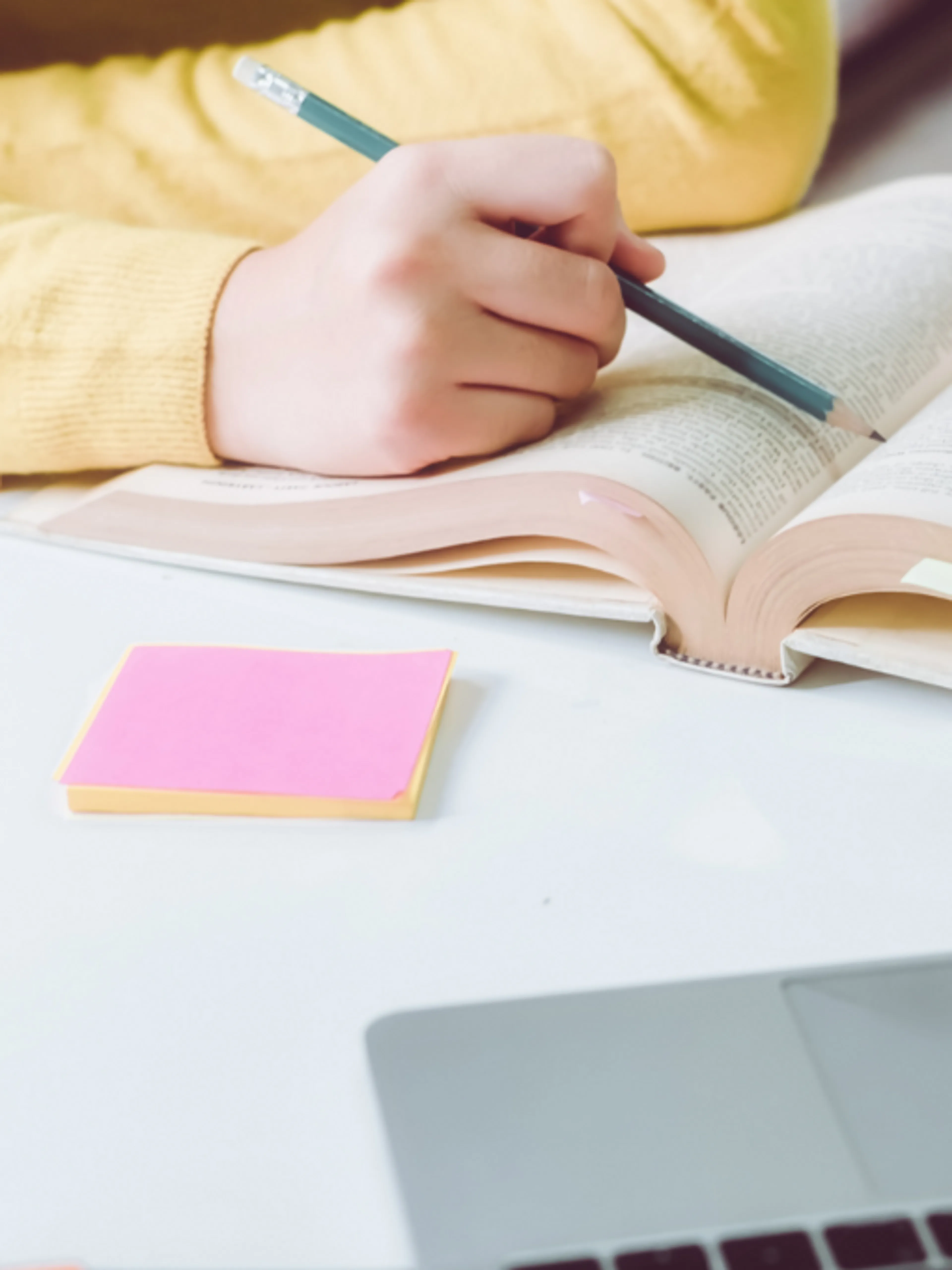 Image de présentation pour l'offre Visio - Explorons ensemble : cours de français, anglais, histoire, mathématiques du CP à la 6ème par Natacha