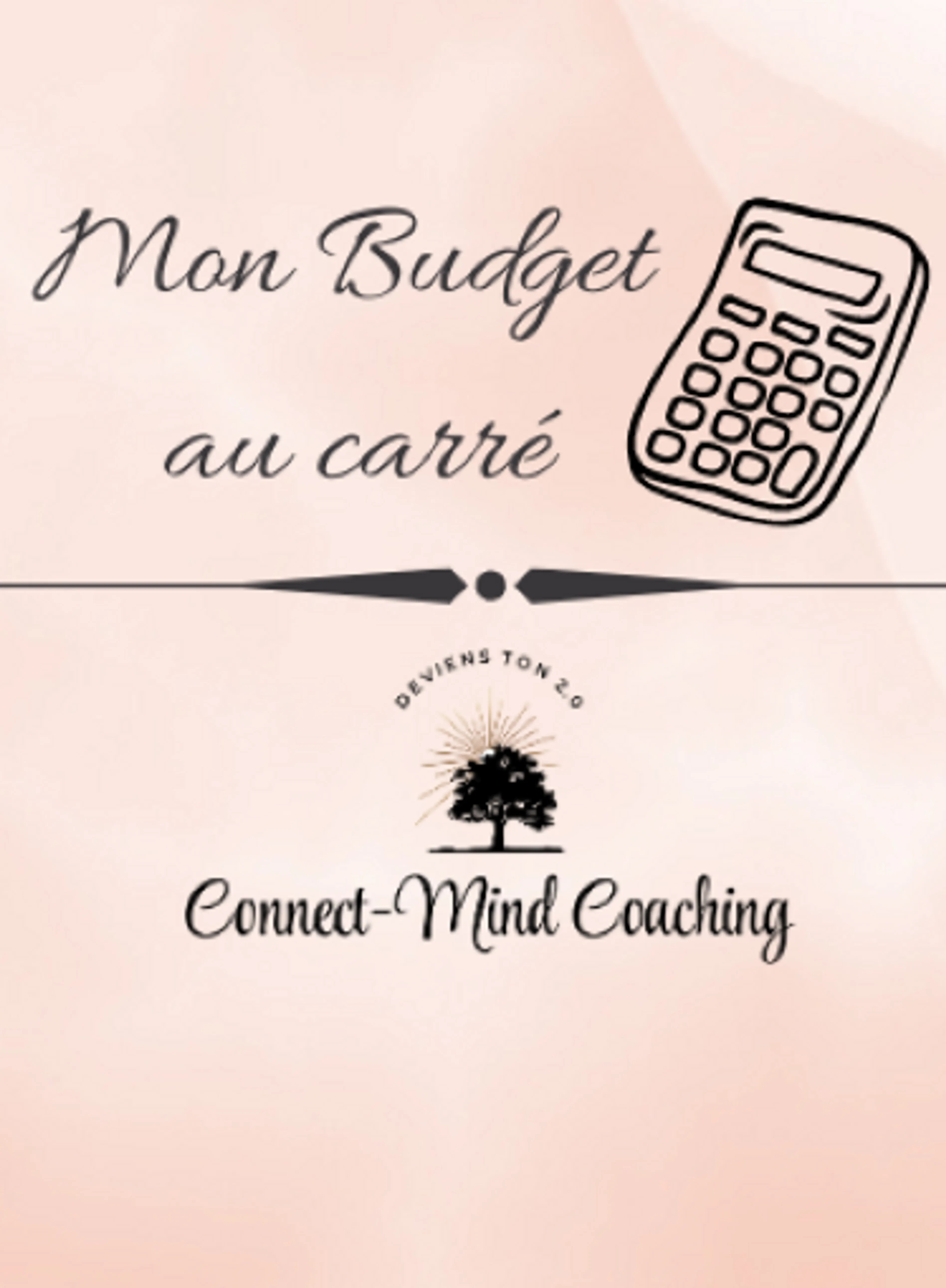 Image de présentation pour l'offre Coaching Budgétaire simple et efficace par Marina - Connect-Mind