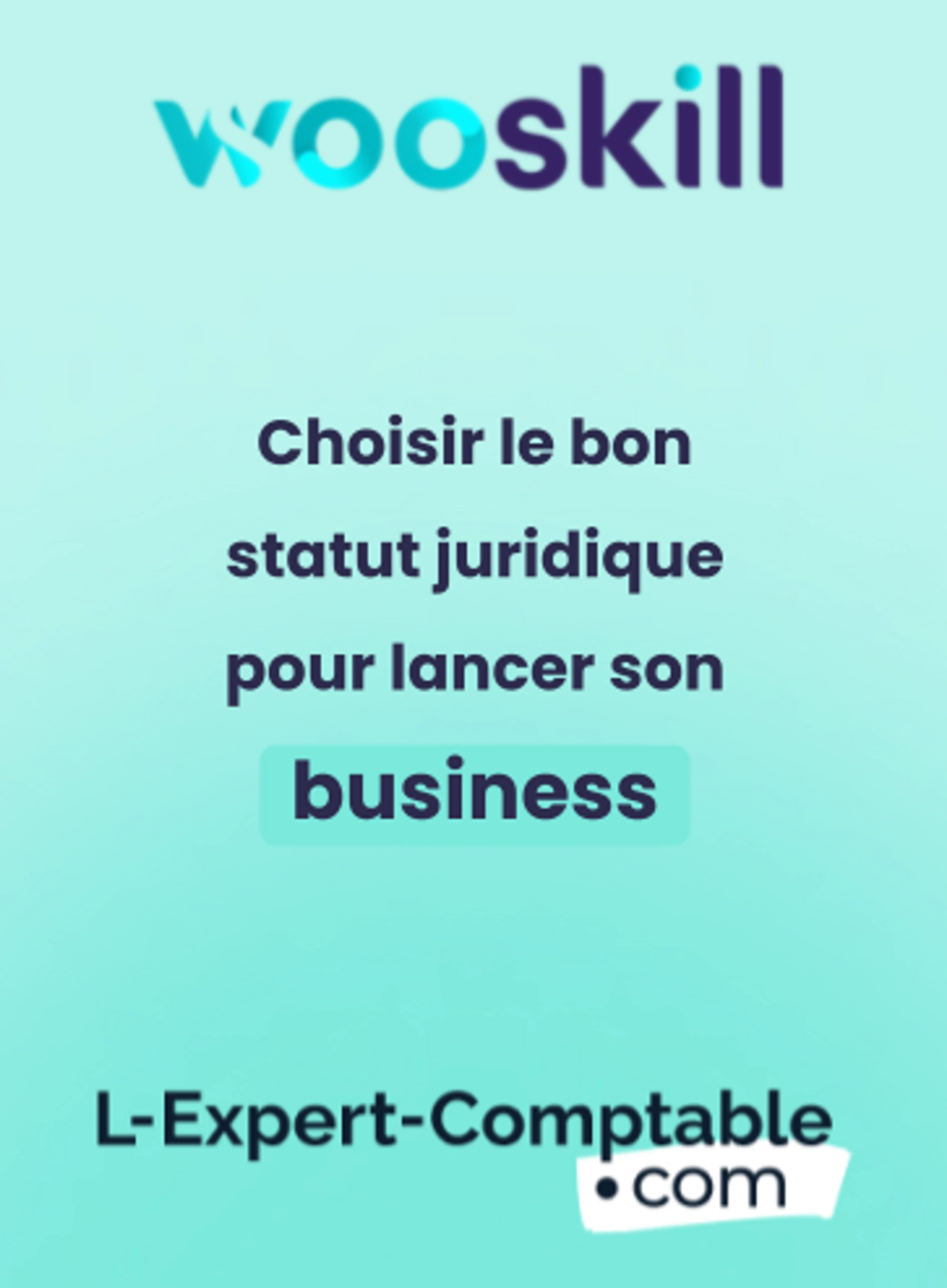 Image de présentation pour l'offre Je lance mon activité avec Wooskill, quel statut choisir ? 💡 par Emilie