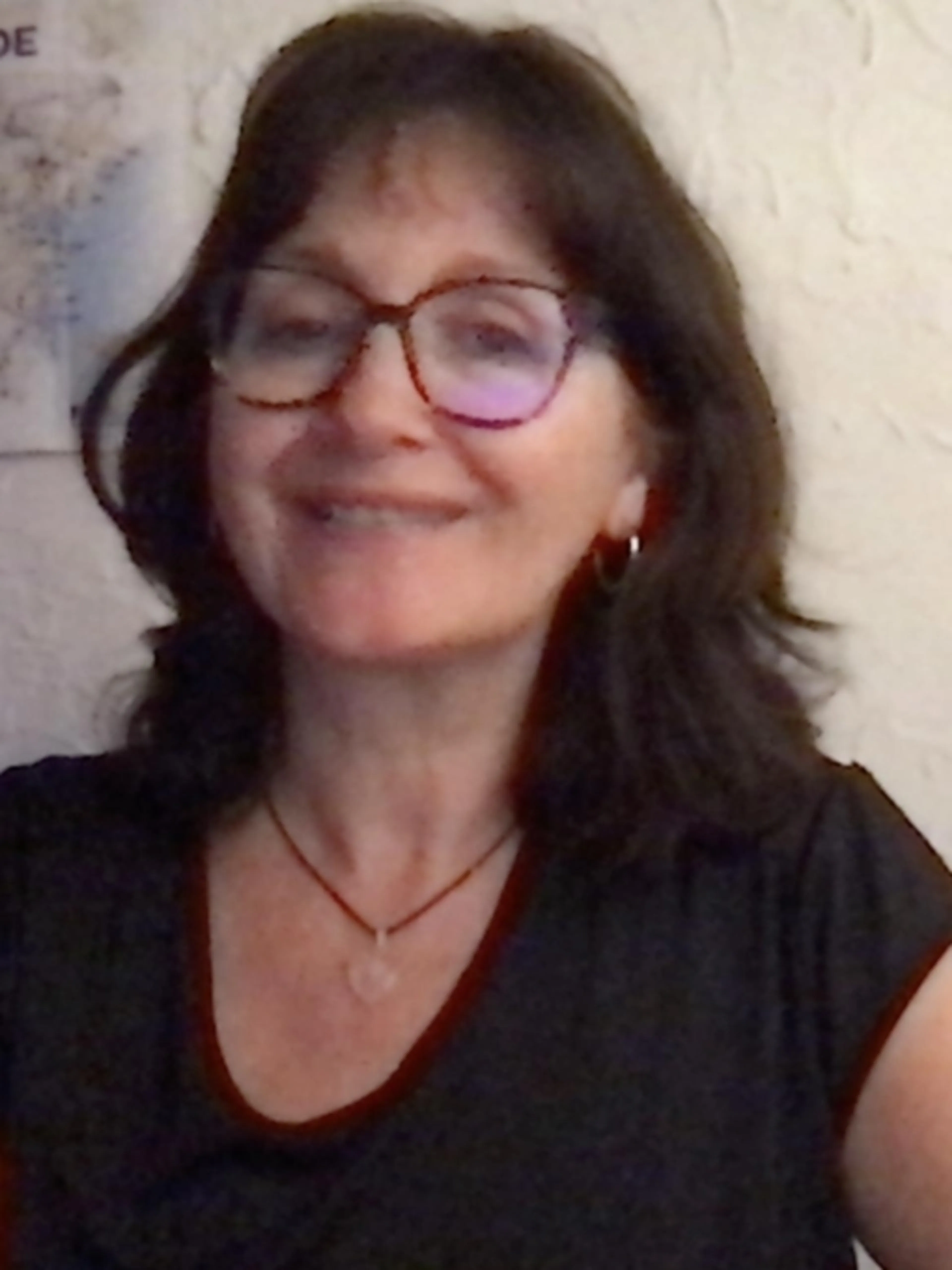 Image de présentation pour l'offre Améliorons ensemble votre pratique du français par Anouk