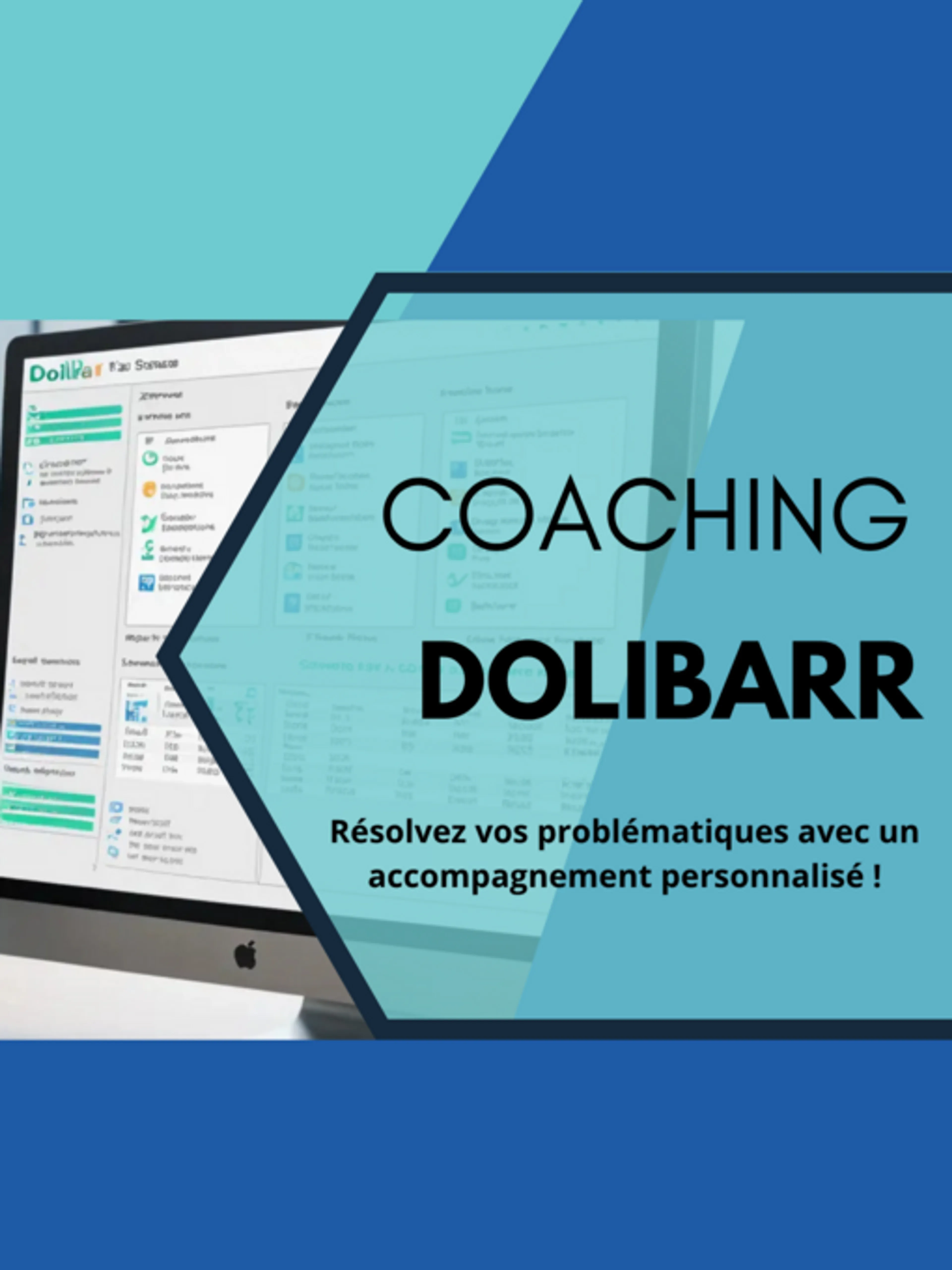 Coaching Dolibarr : Résolvez vos problématiques avec un accompagnement personnalisé !