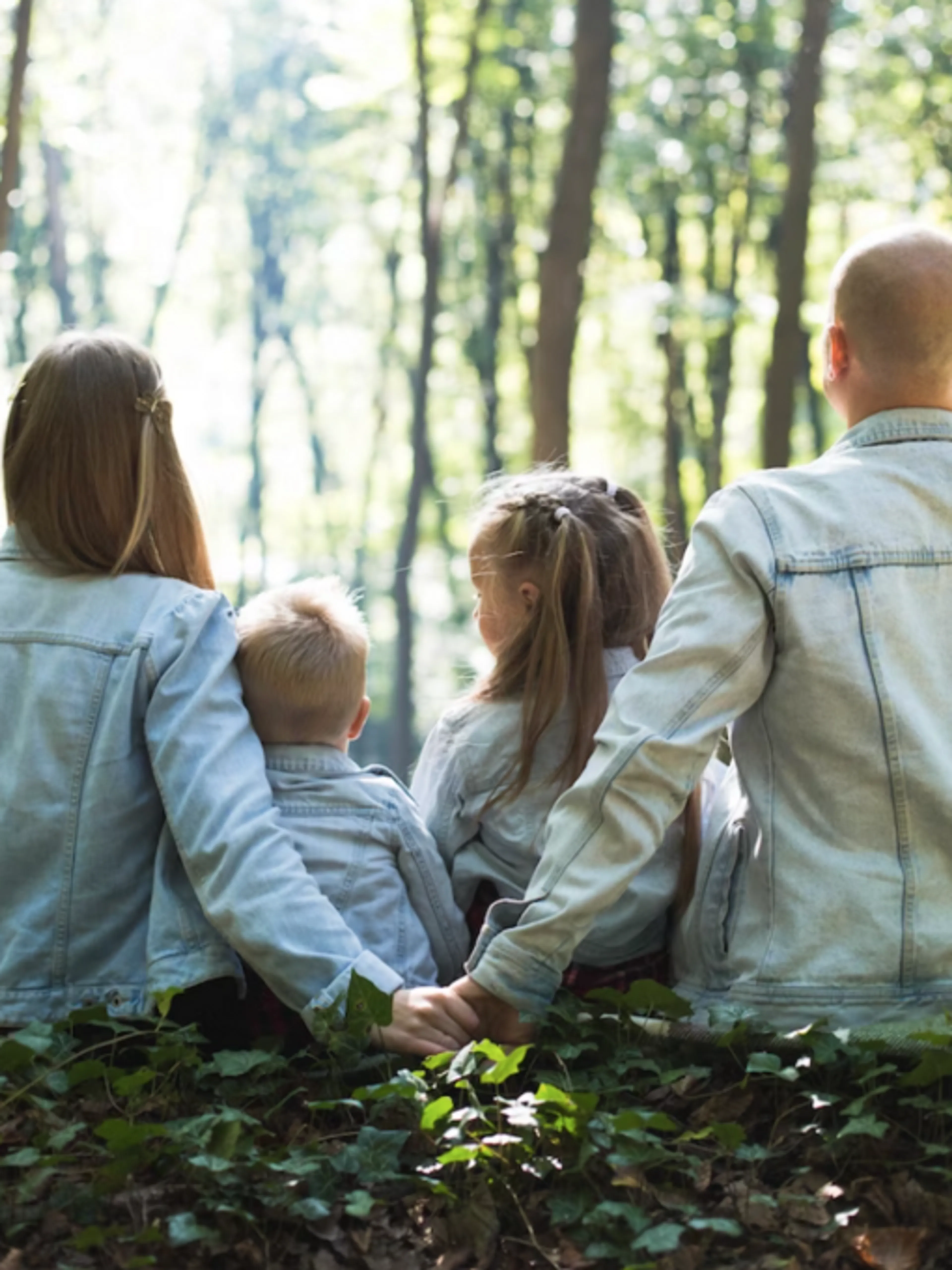 Image de présentation pour l'offre Communication familiale apaisée : des réponses sur mesure adaptées à vos défis ! Contactez moi via la messagerie Wooskill pour la prise de rendez-vous par Sylvie Jenaly