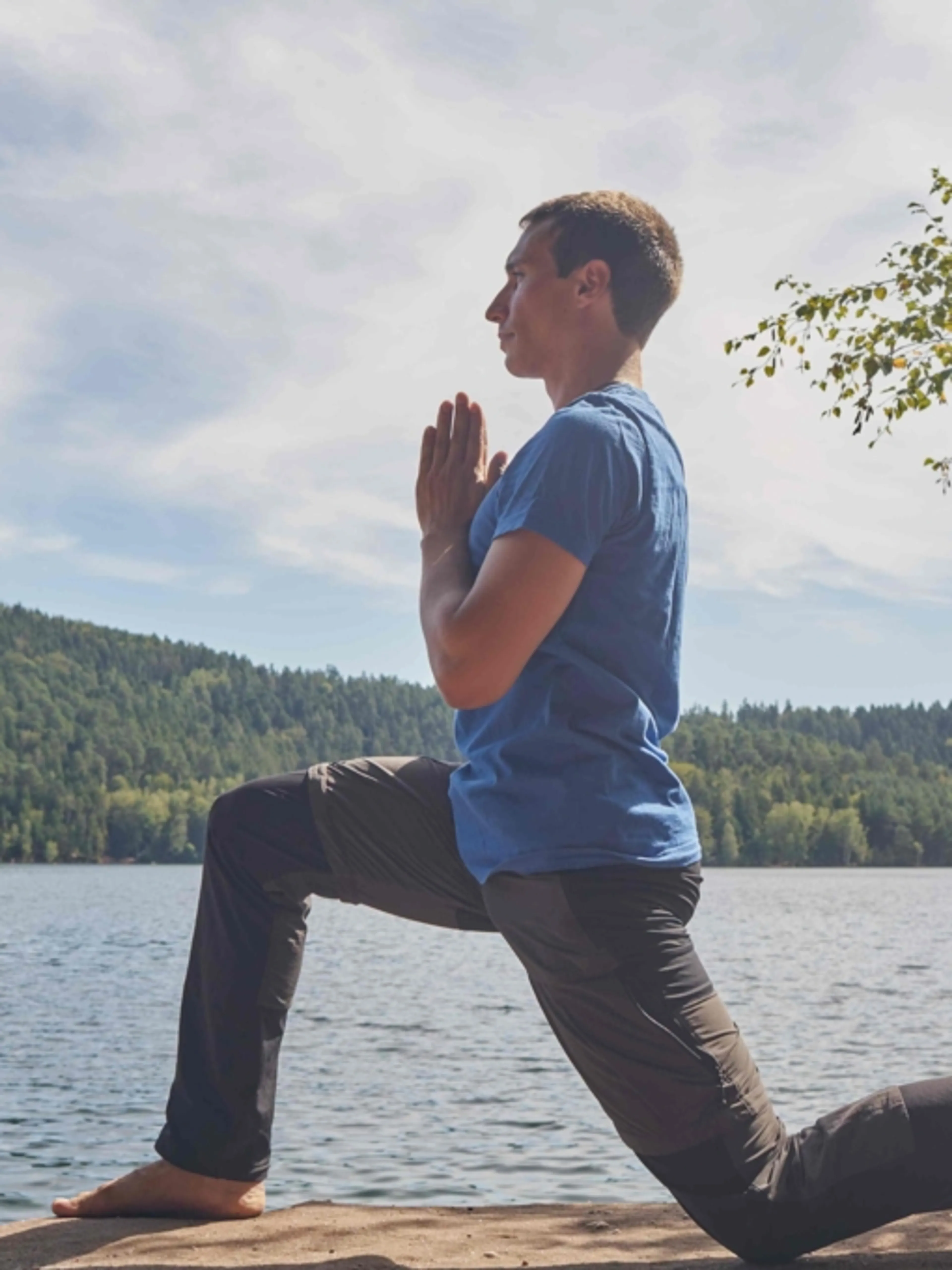 Image de présentation pour l'offre Séance de Yoga Vinyasa - Salutation au Soleil A + B (cours collectif privé). par Quentin