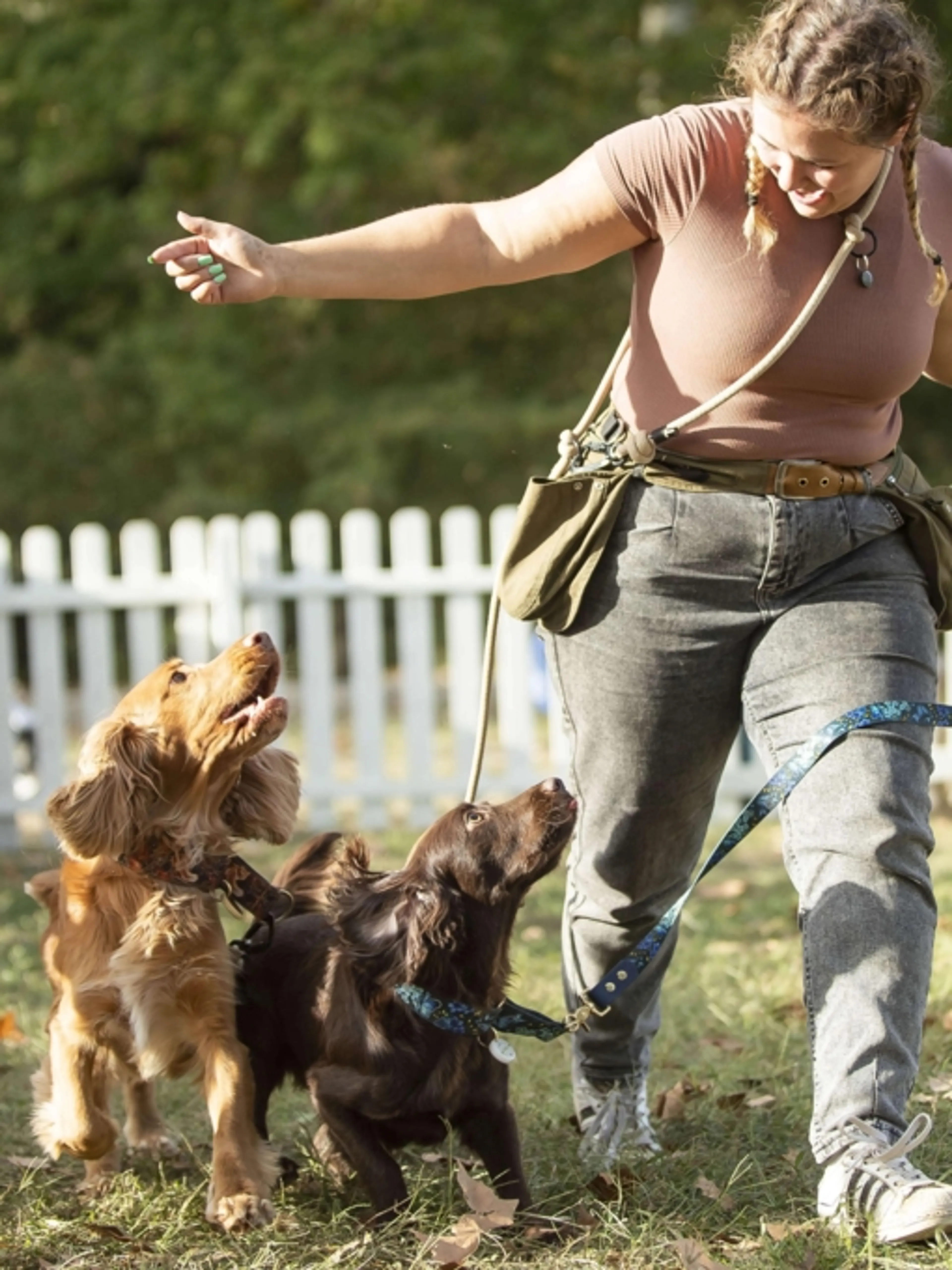 Image de présentation pour l'offre ✨Apprenez à votre chien des tours super cools 🐕 par Laura