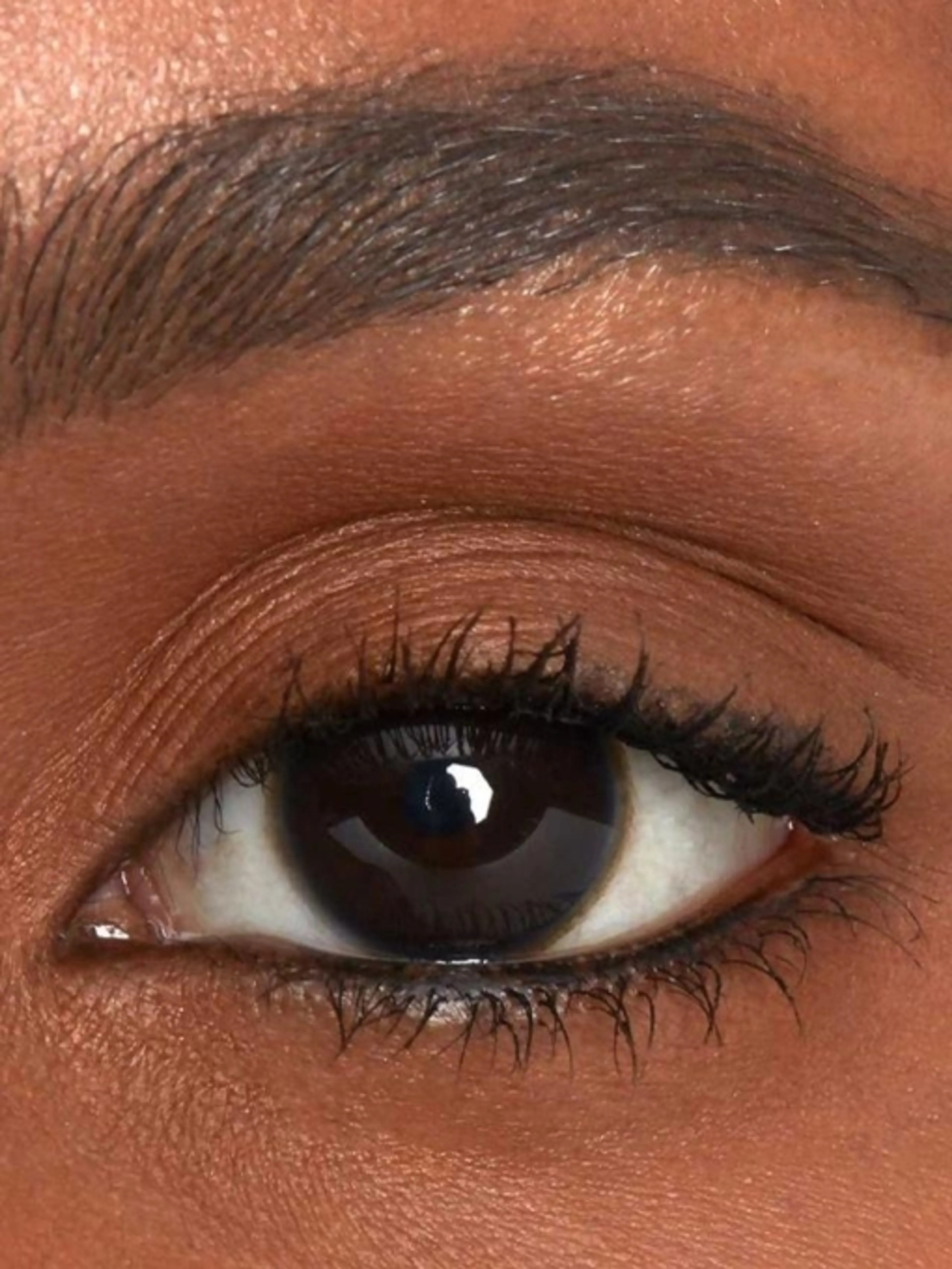 Image de présentation pour l'offre Apprendre à définir les sourcils et faire un dégradé de fars à paupières: trouvez votre style, étape par étape ! 💄 par Sublym Saphir