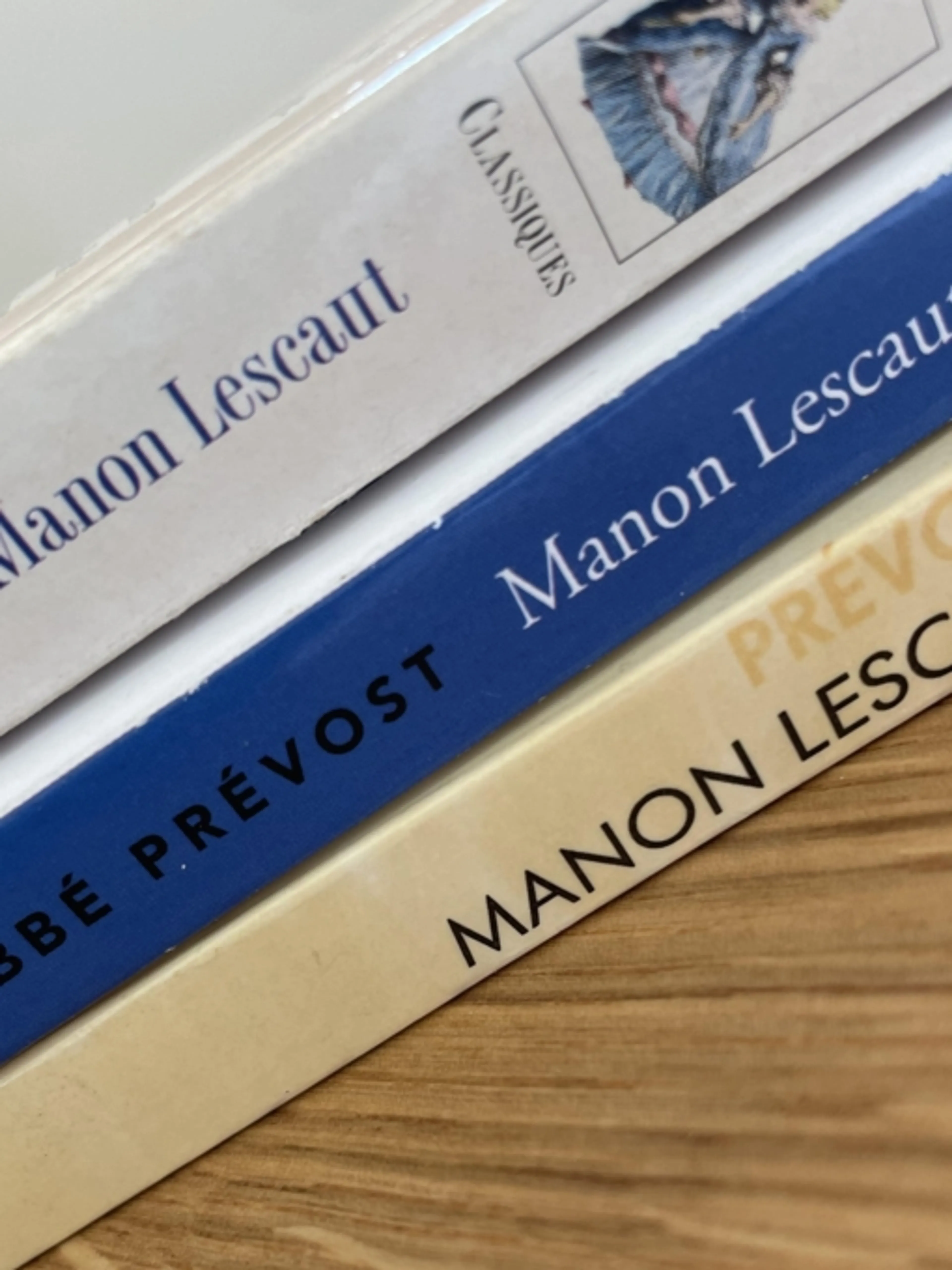 Image de présentation pour l'offre Révisions - Manon Lescaut - Bac de français, les idées essentielles et un plan détaillé de dissertation envoyé à la fin du webinaire par Emmanuelle