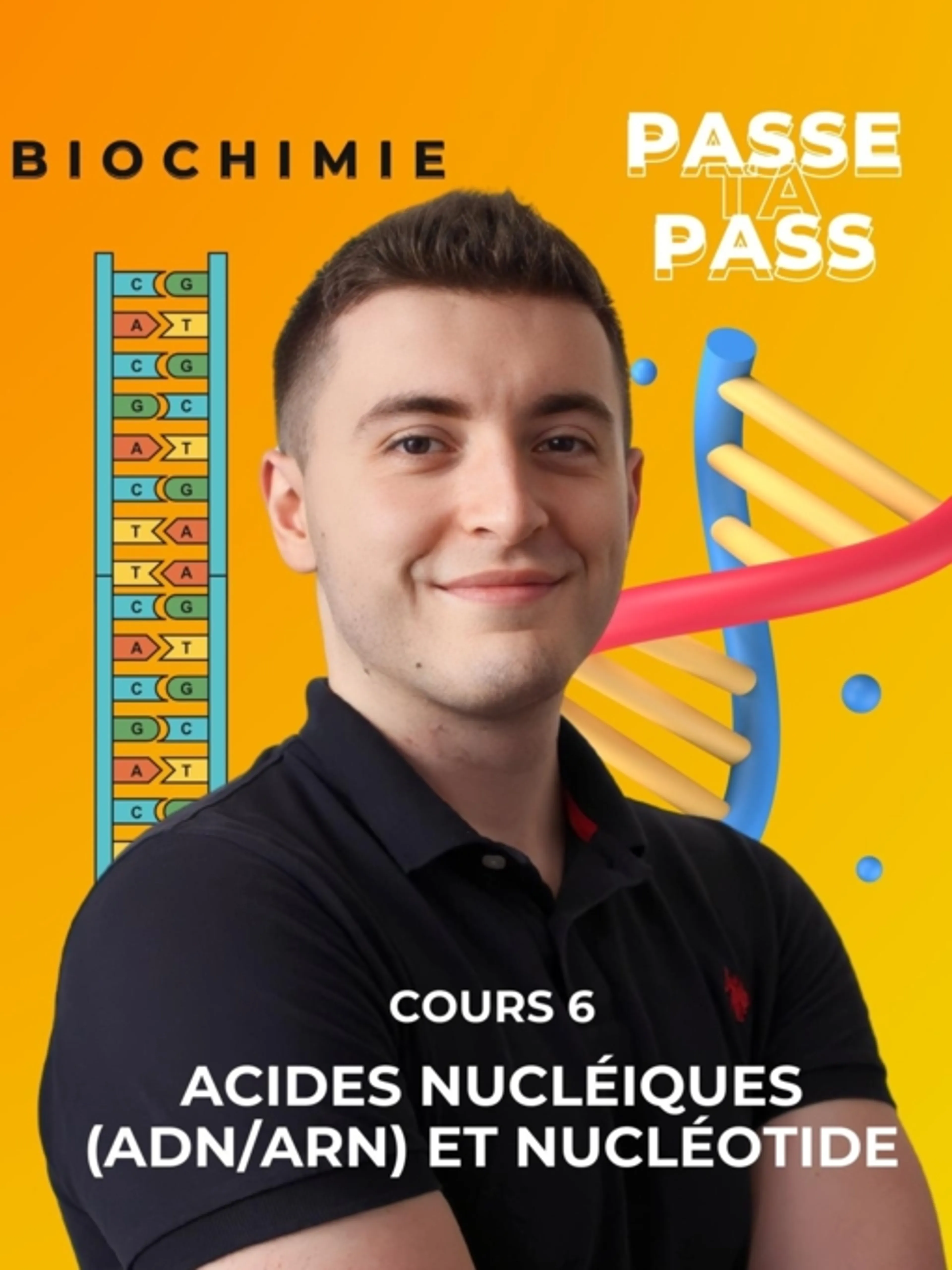 Image de présentation pour l'offre BIOCHIMIE 6 : Nucléotides et acides nucléiques
Structure des nucléotides, Bases azotées, Ribose, Phosphate, Ponts phosphodiesters, Structure des acide par Passe Ta Pass