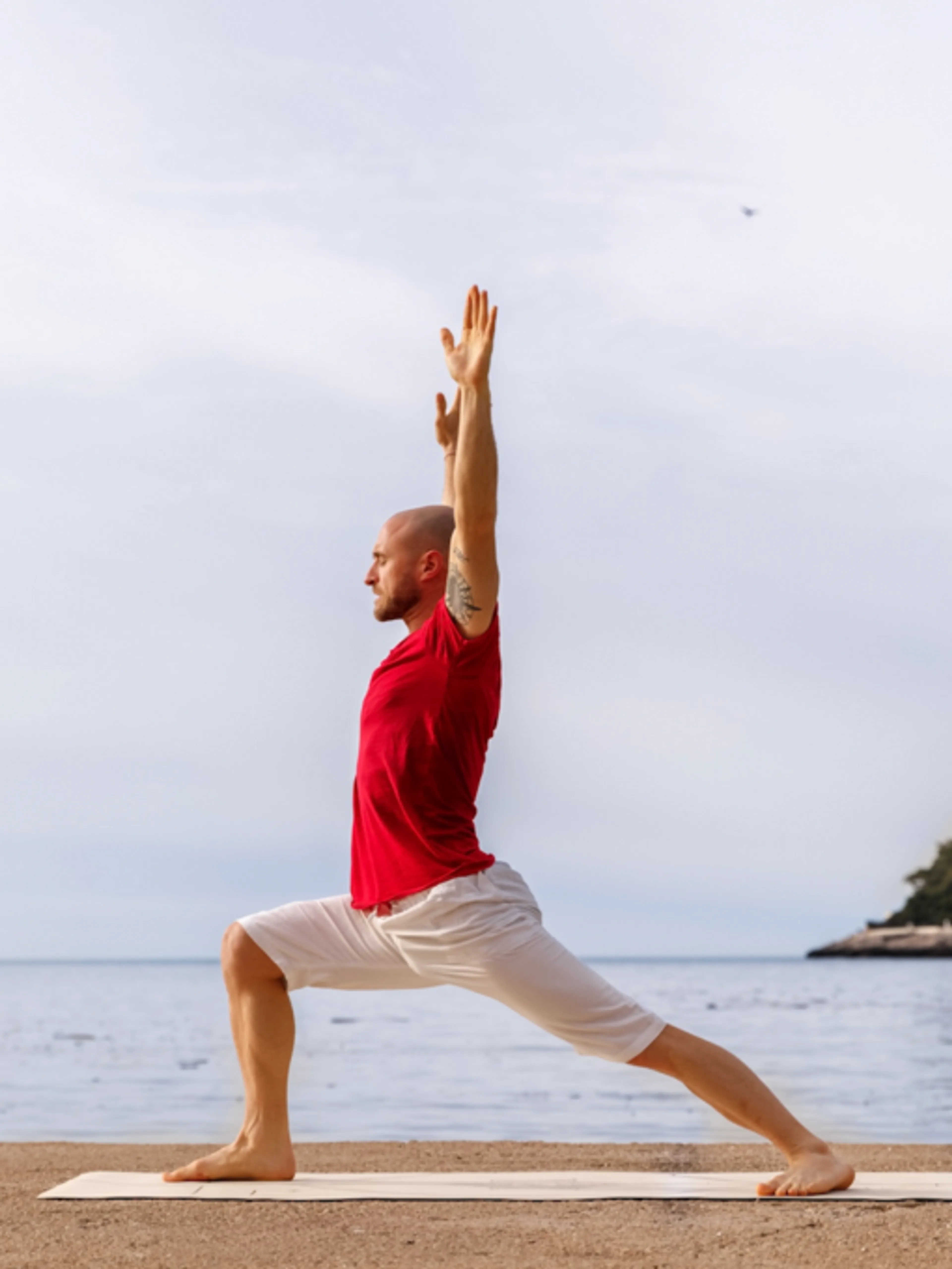 Image de présentation pour l'offre Atelier Yoga force et équilibre par Julian