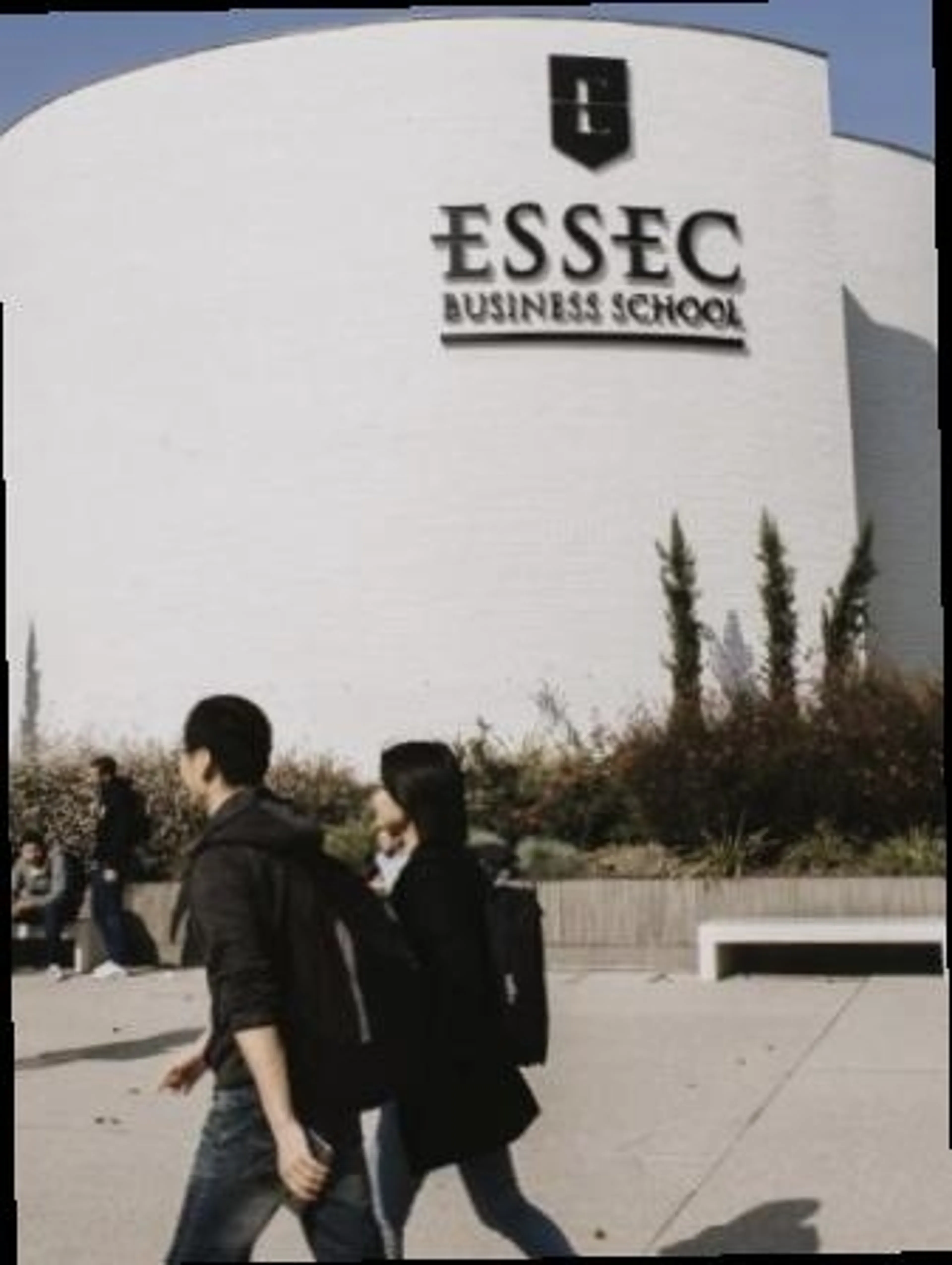 Image de présentation pour l'offre Étudiant à l’ESSEC donnant des cours d’anglais à tous ! par Zakaria
