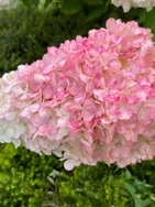 Mvonne vous présente ses services sur la plateforme Wooskill.