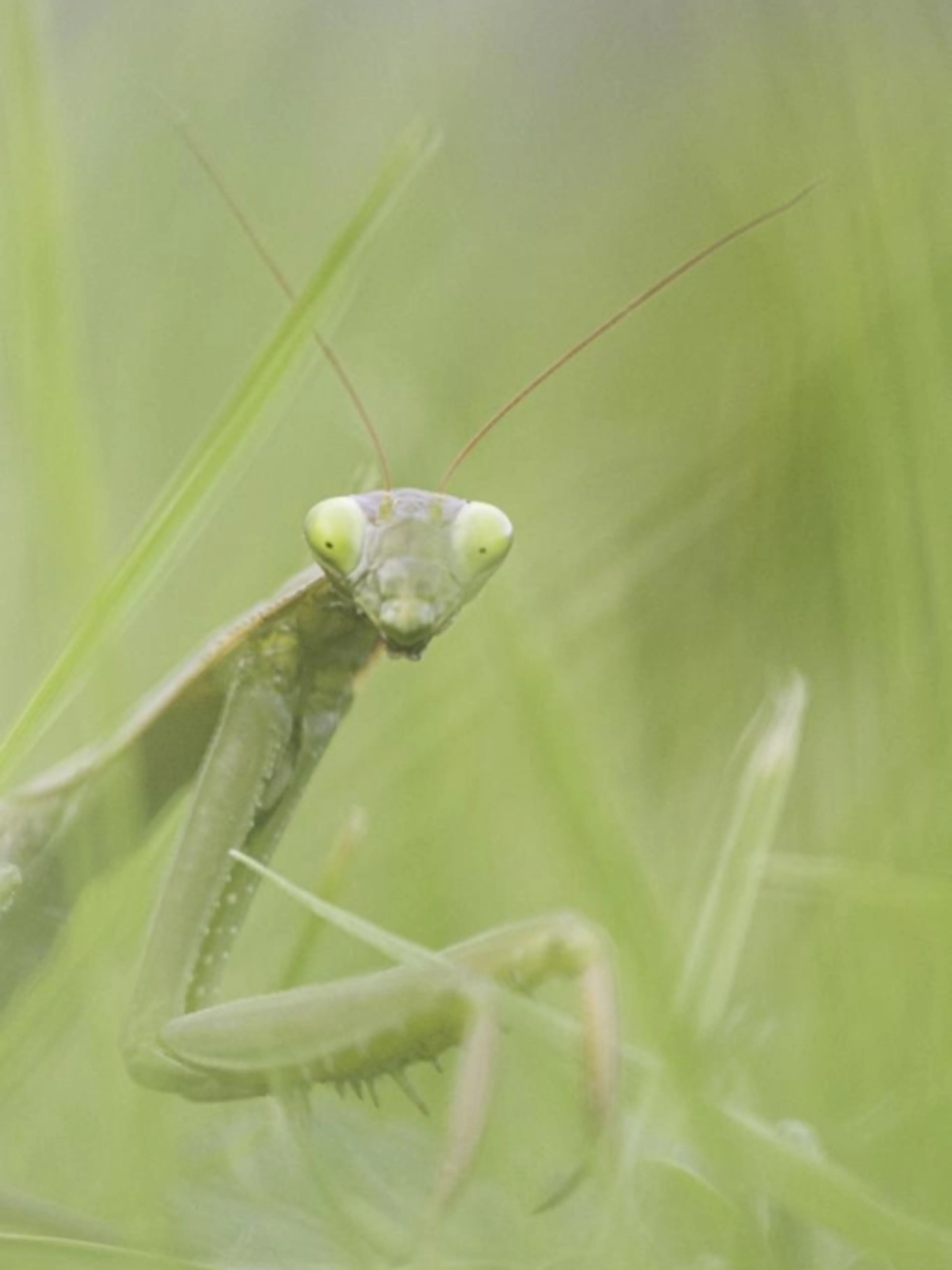 Image de présentation pour l'offre Explorez la nature à travers votre objectif : Cours particuliers de photographie naturaliste ! par JEROME