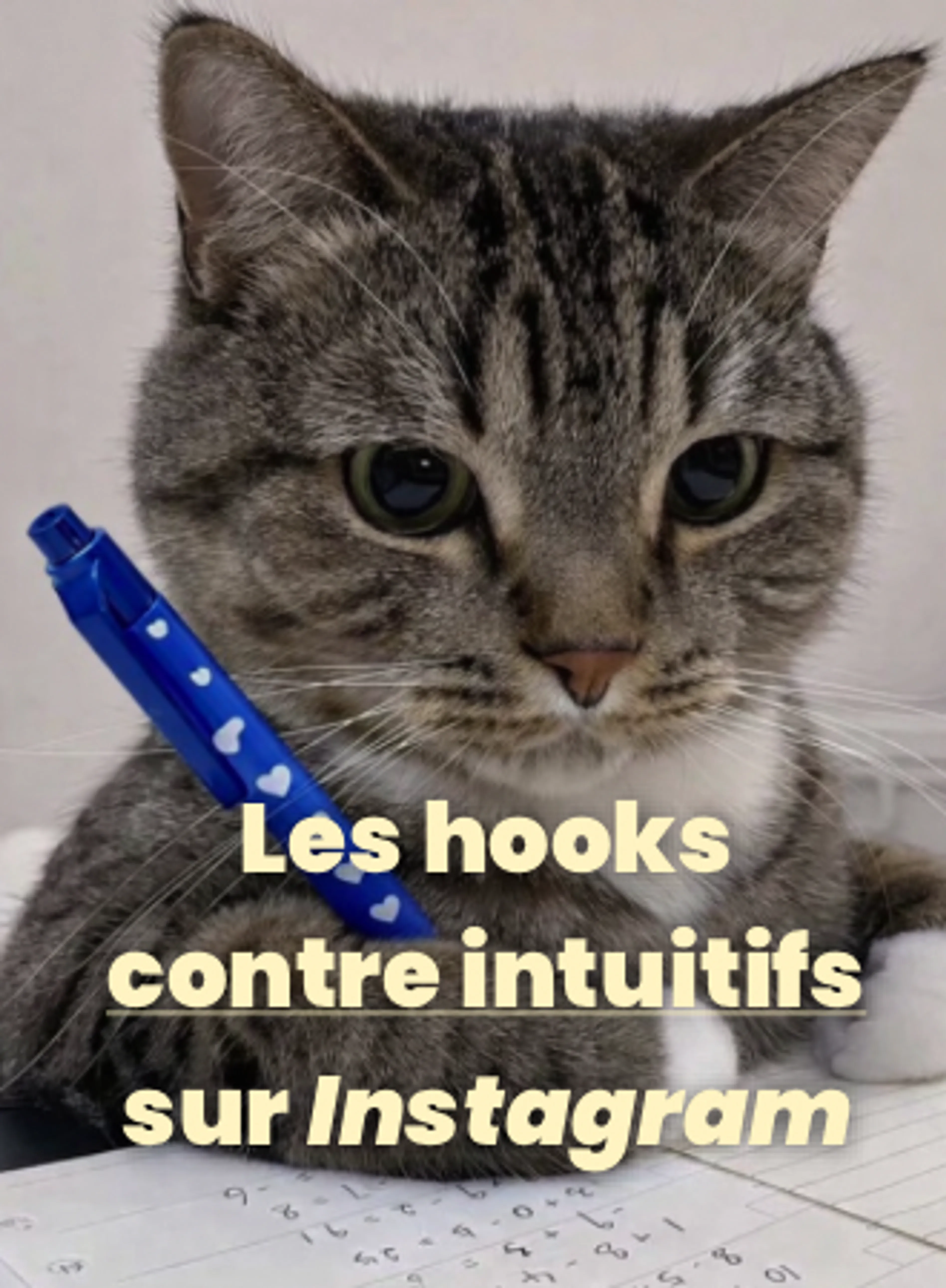 Image de présentation pour l'offre Hooks Instagram : ce qui fonctionne vraiment pour capter l’attention par callmevoyou