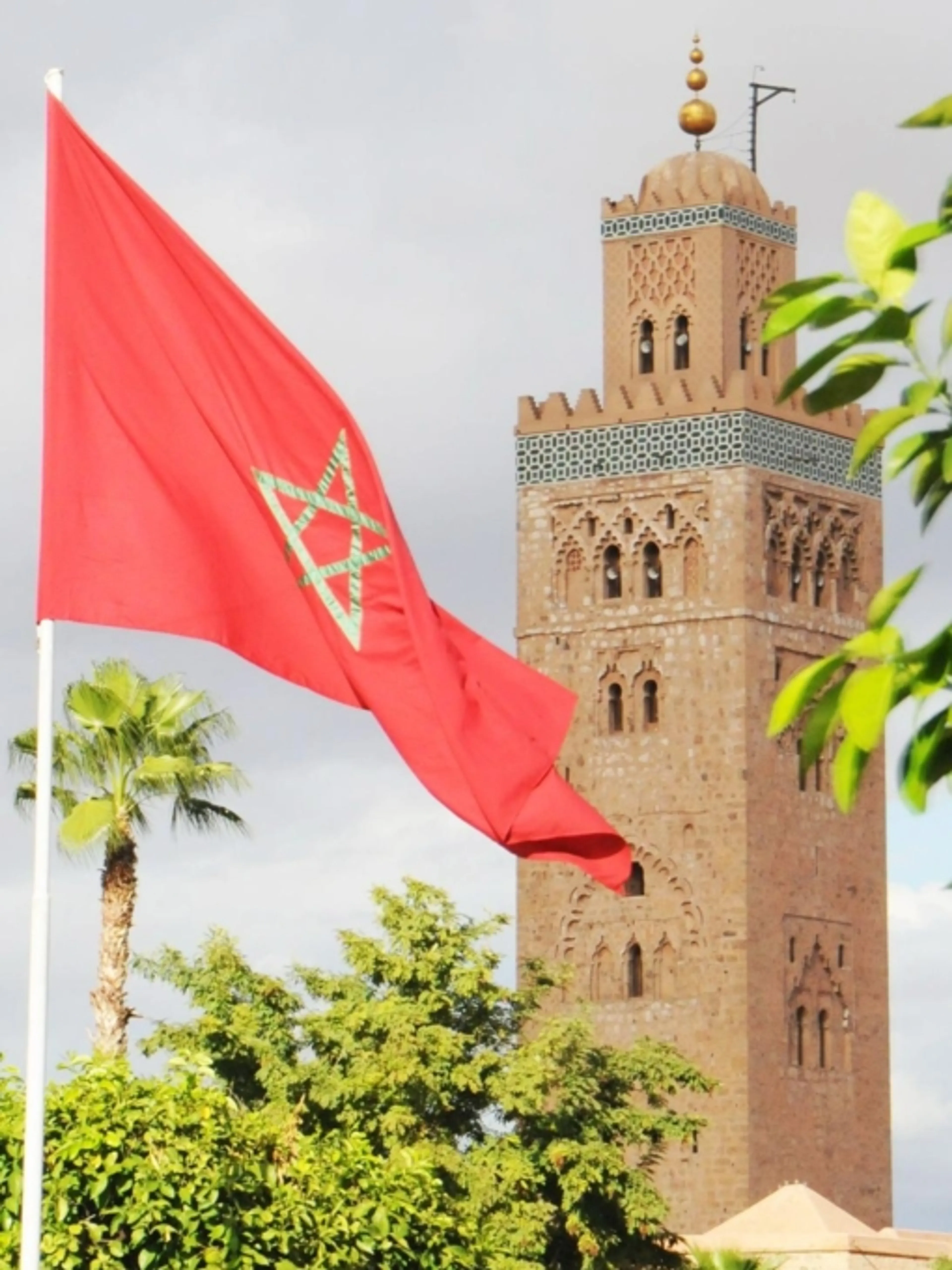 Image de présentation pour l'offre 🏛️ Masterclass – Connaître les bases de l’Histoire du Maroc par Mehdistorien