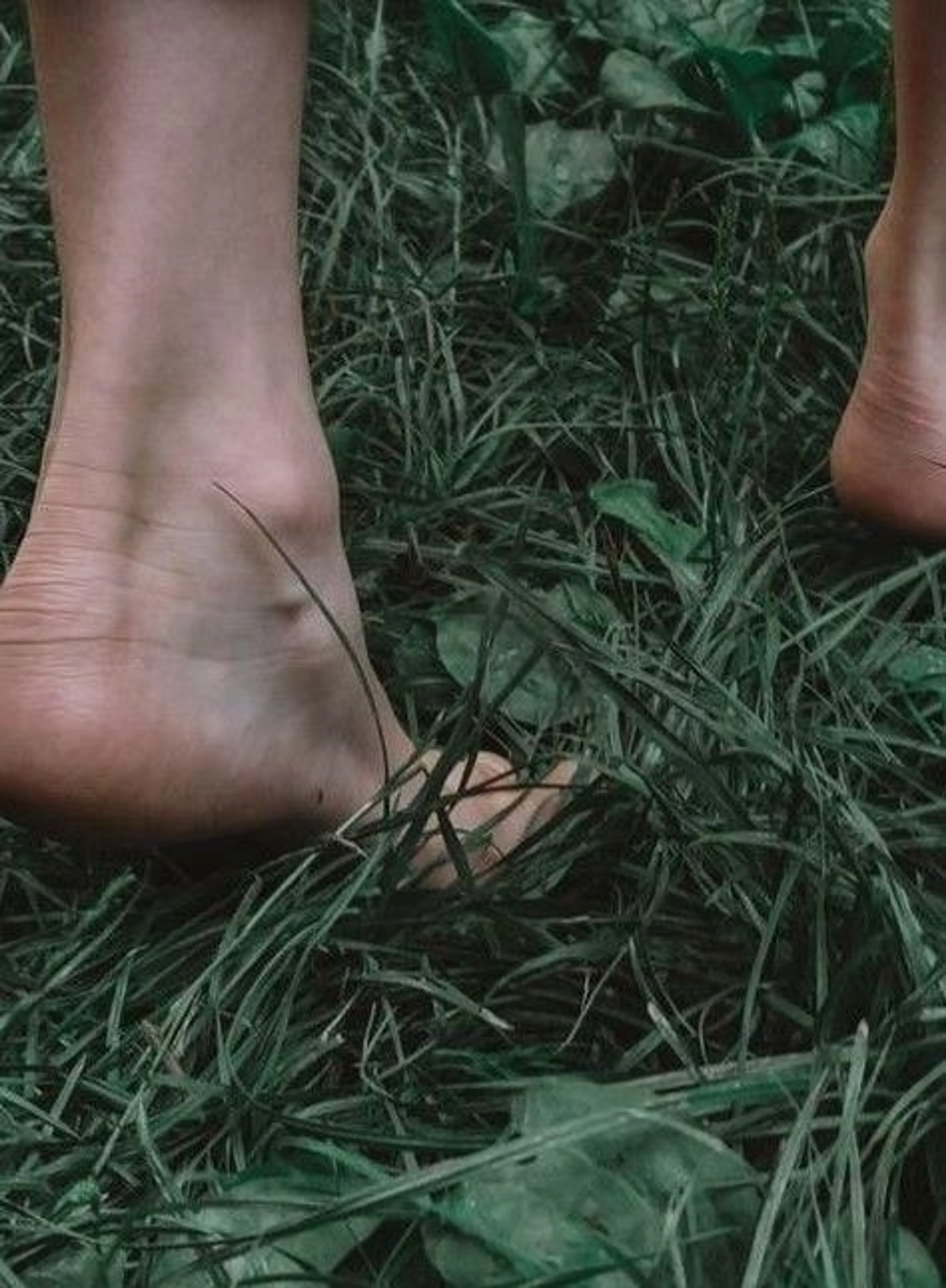 Image de présentation pour l'offre L'Alignement Naturel™ – Le programme qui transforme votre vie et votre business en profondeur 🌿 par Shaolee97