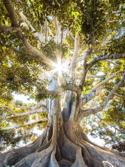 Image de présentation pour l'offre Pack coaching Eclair 3 séances par LLcoaching