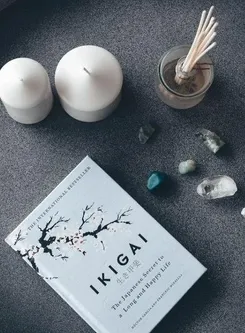 Image de présentation pour l'offre Ikigaï et bien-être émotionnel -
7 séances pour évaluer vos compétences émotionnelles et sociales et trouver votre mission par Sylvie