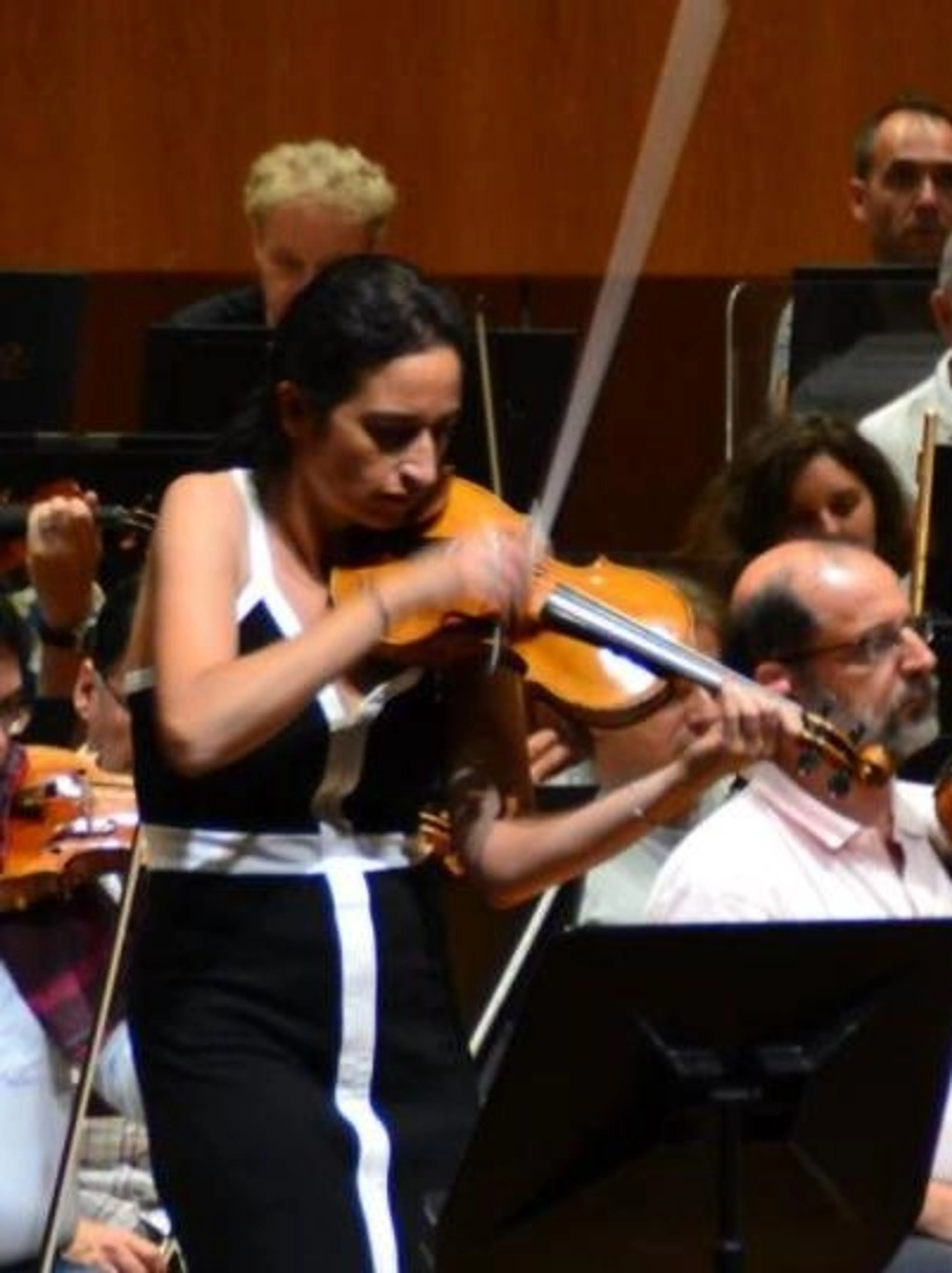Image de présentation pour l'offre Cours de violon niveau avancé avec concertiste par Liza violoniste