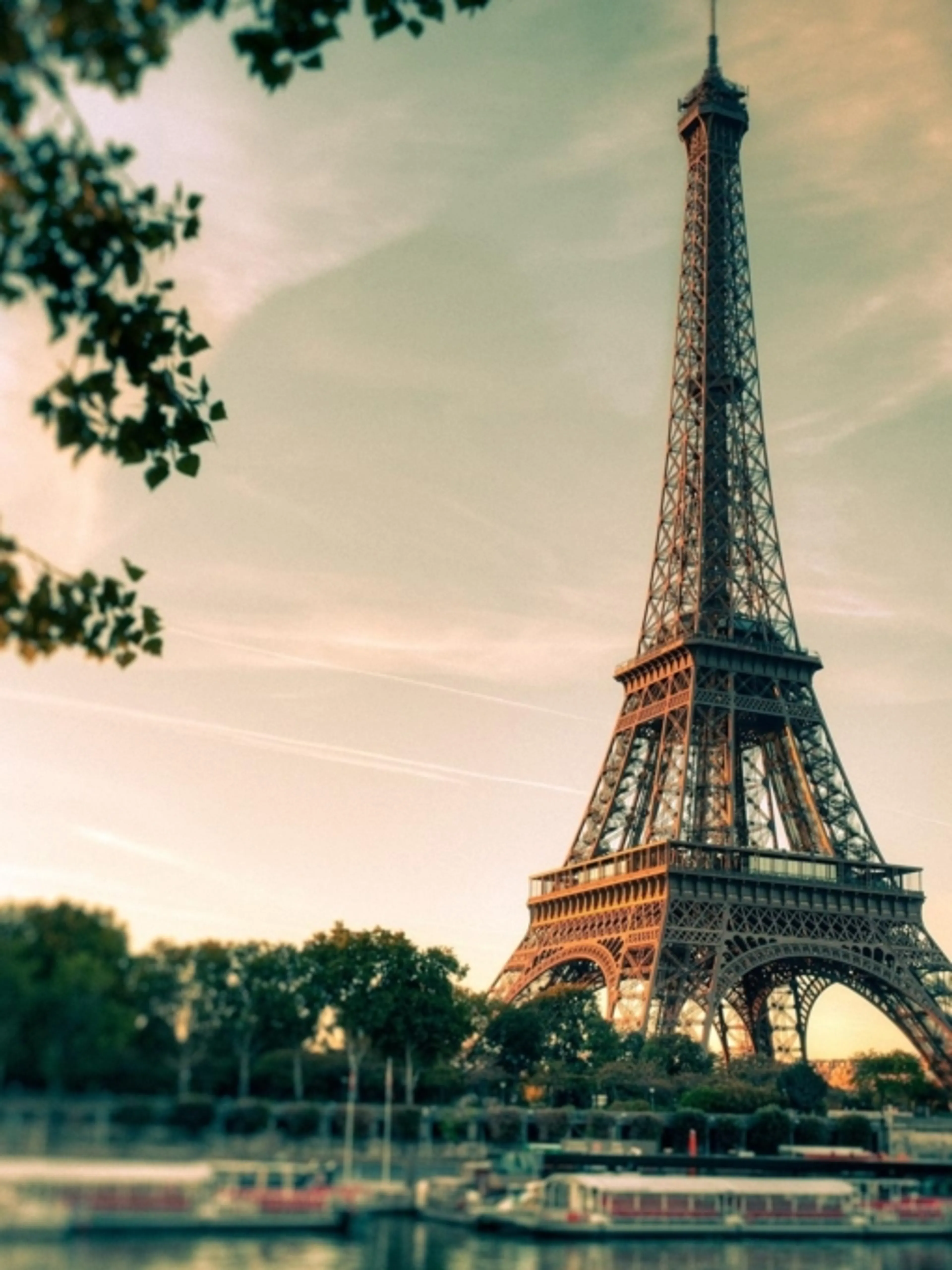 Learn French with Ease: Engaging & Effective Courses for All Levels!