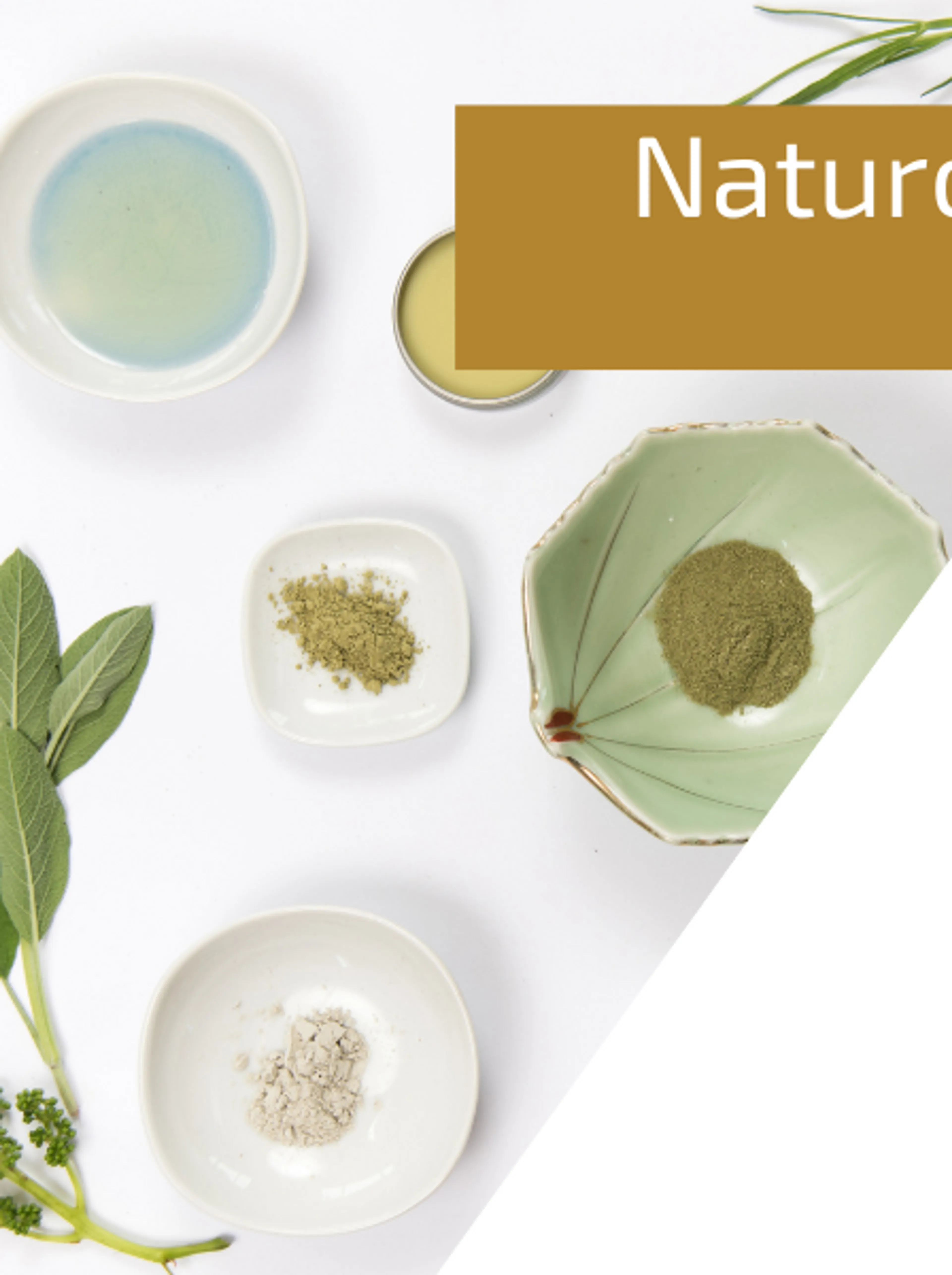 Image de présentation pour l'offre CONSULTATION DE SUIVI NATUROPATHIE par Naturo'GrainedeVie