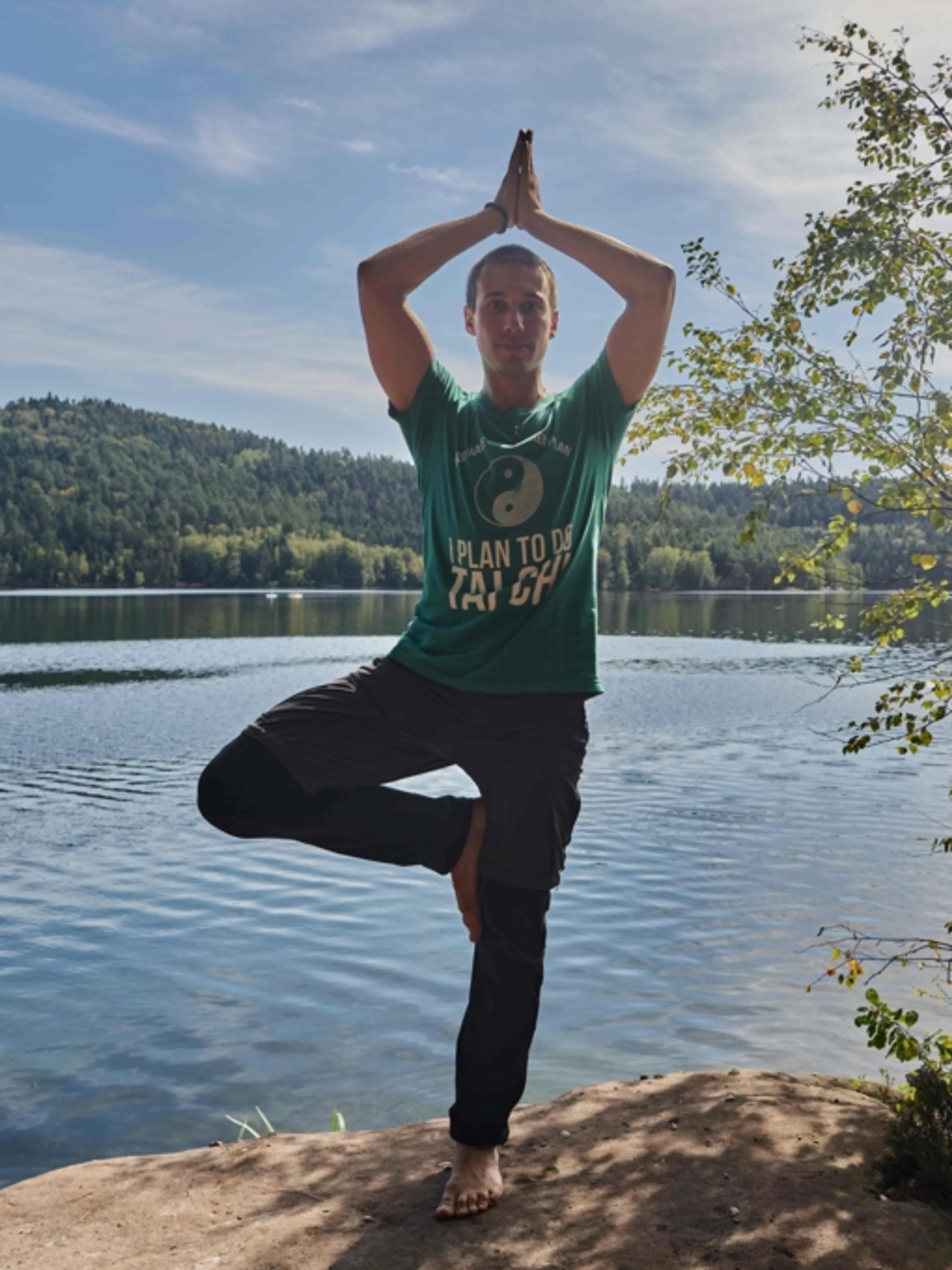 Image de présentation pour l'offre Séance de Hatha Yoga Traditionnelle - Postures tenues, renforcement et éveil par la concentration et le maintien postural (cours collectif privé). par Quentin