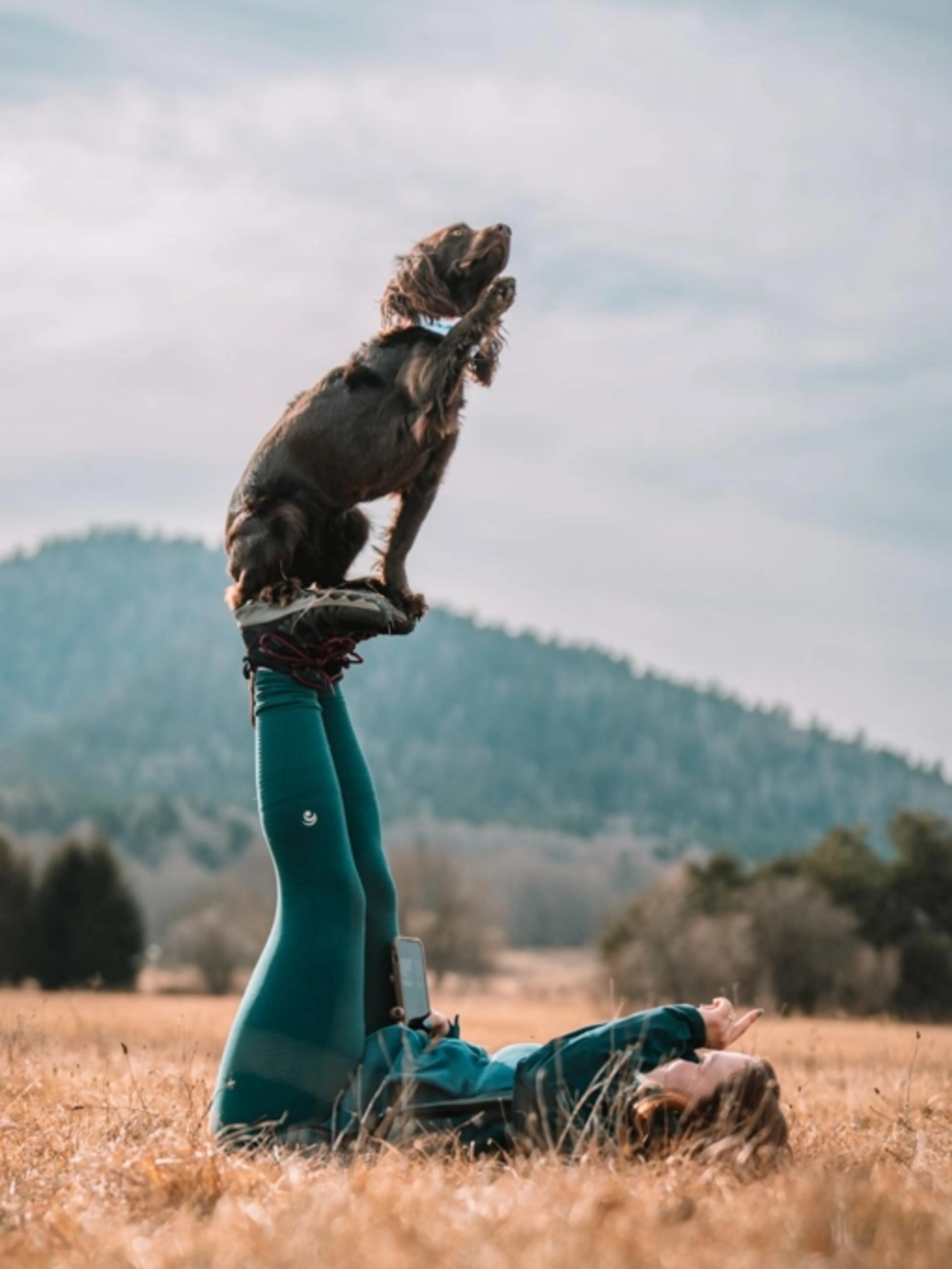 Image de présentation pour l'offre ✨Apprenez à votre chien des tours super cools 🐕 par Laura