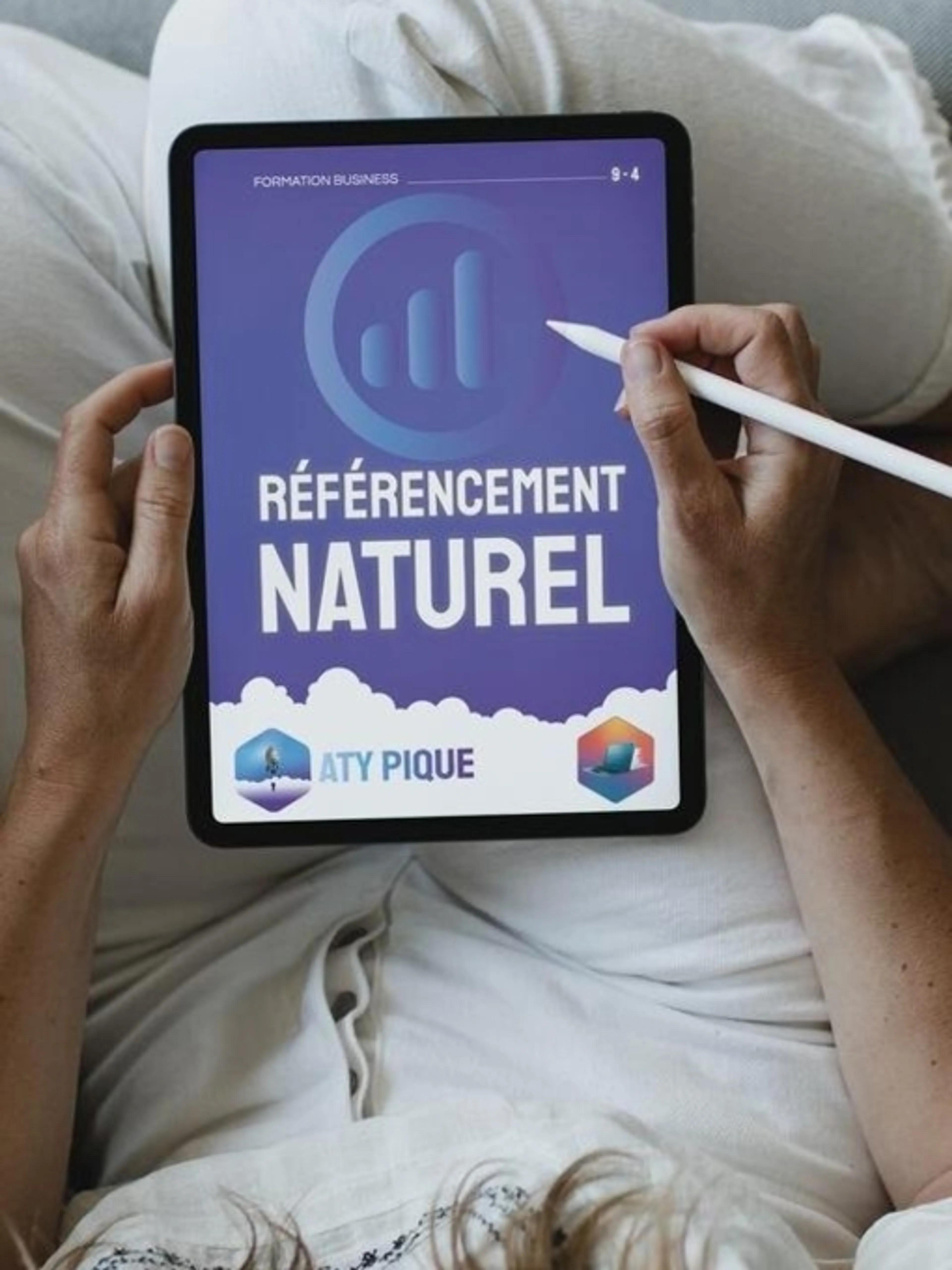 Maîtriser le SEM - SEO + SEA. Bonus + SMO + SXO