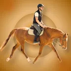 Killian vous présente ses services sur la plateforme Wooskill.