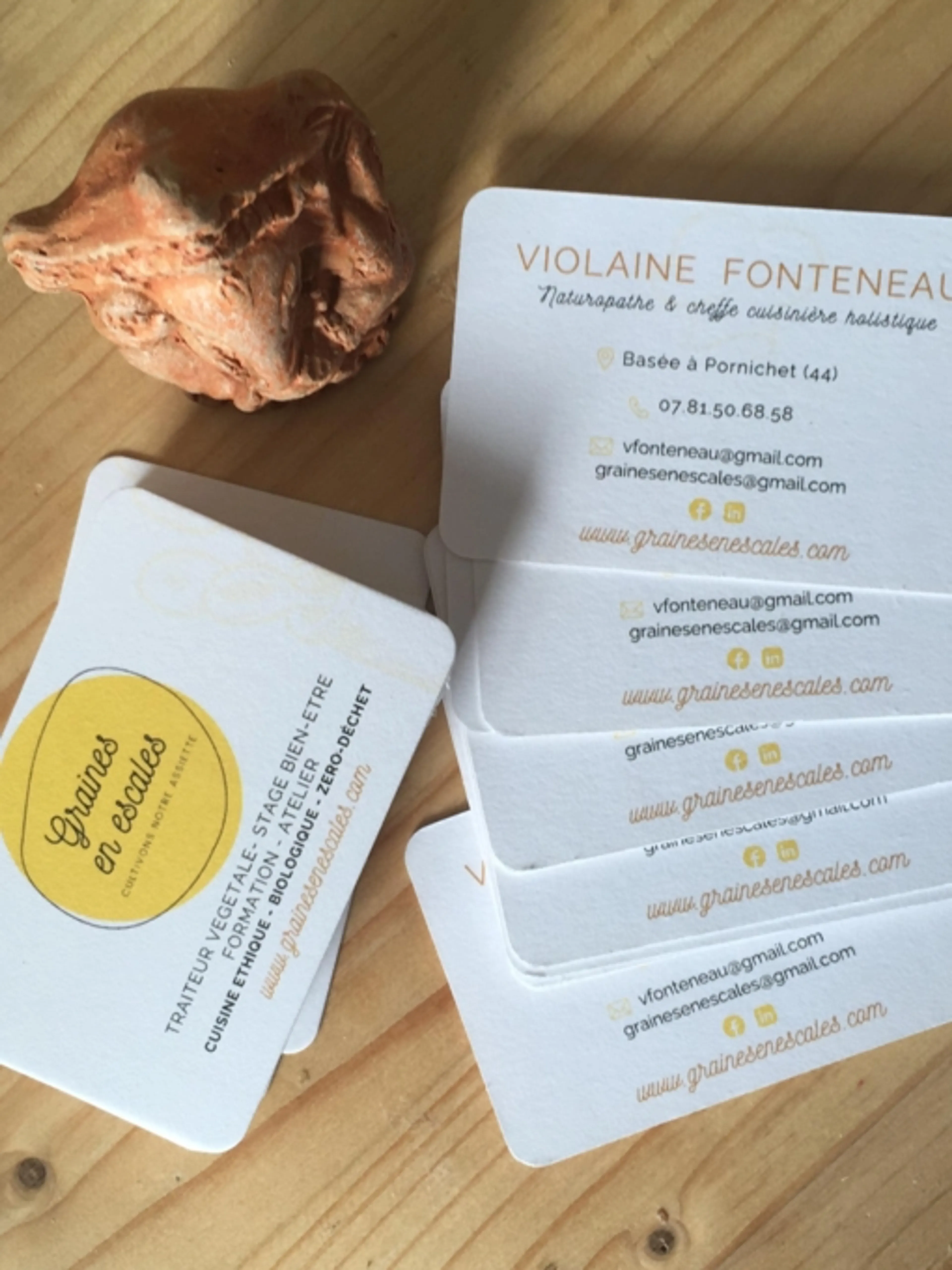Image de présentation pour l'offre Explorez la gourmandise santé : Cuisiner sainement avec passion et expertise naturopathique ! par Violaine