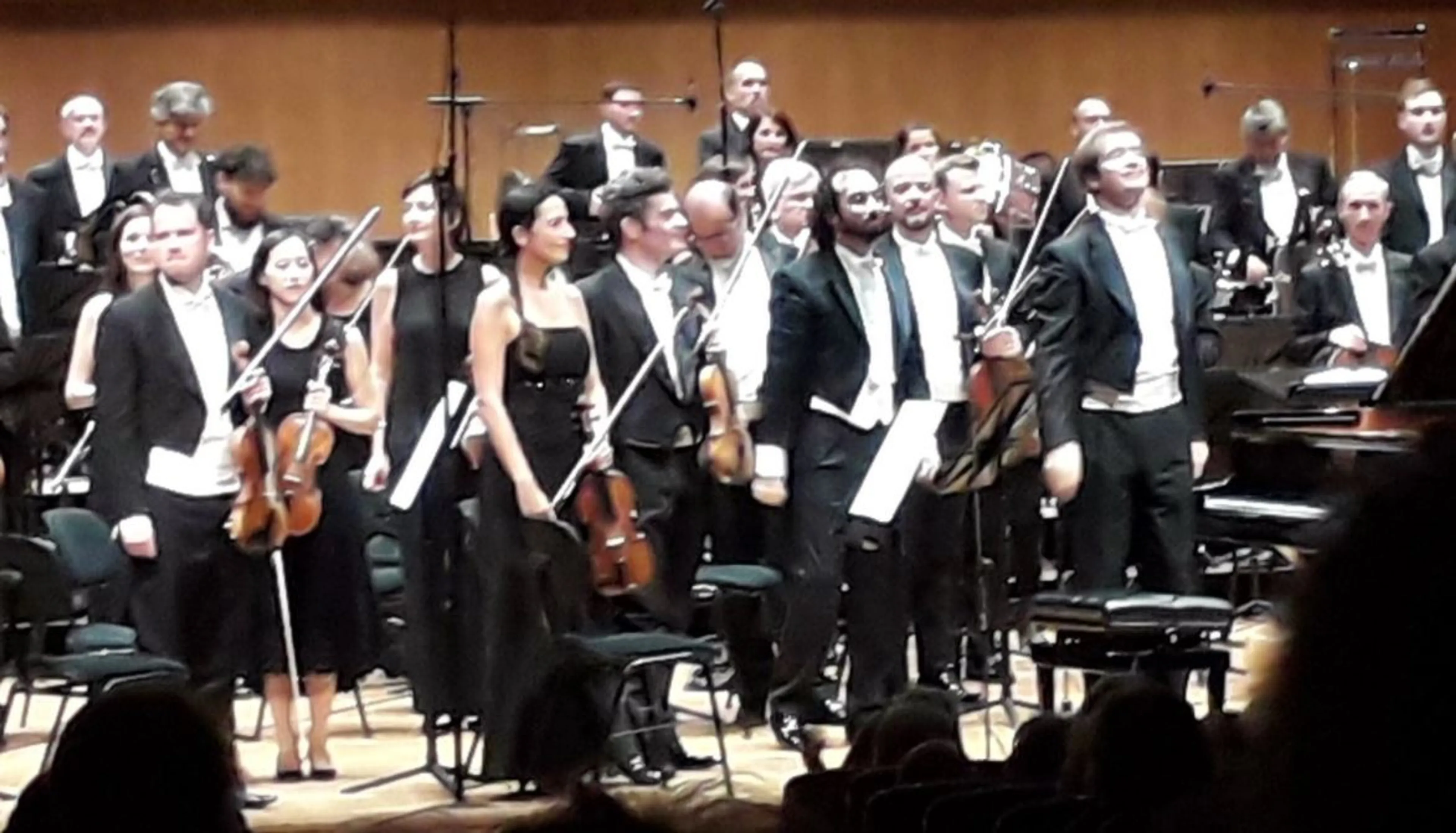 Image de présentation pour l'offre Conseils en orientation musicale pour les jeunes par Liza violoniste
