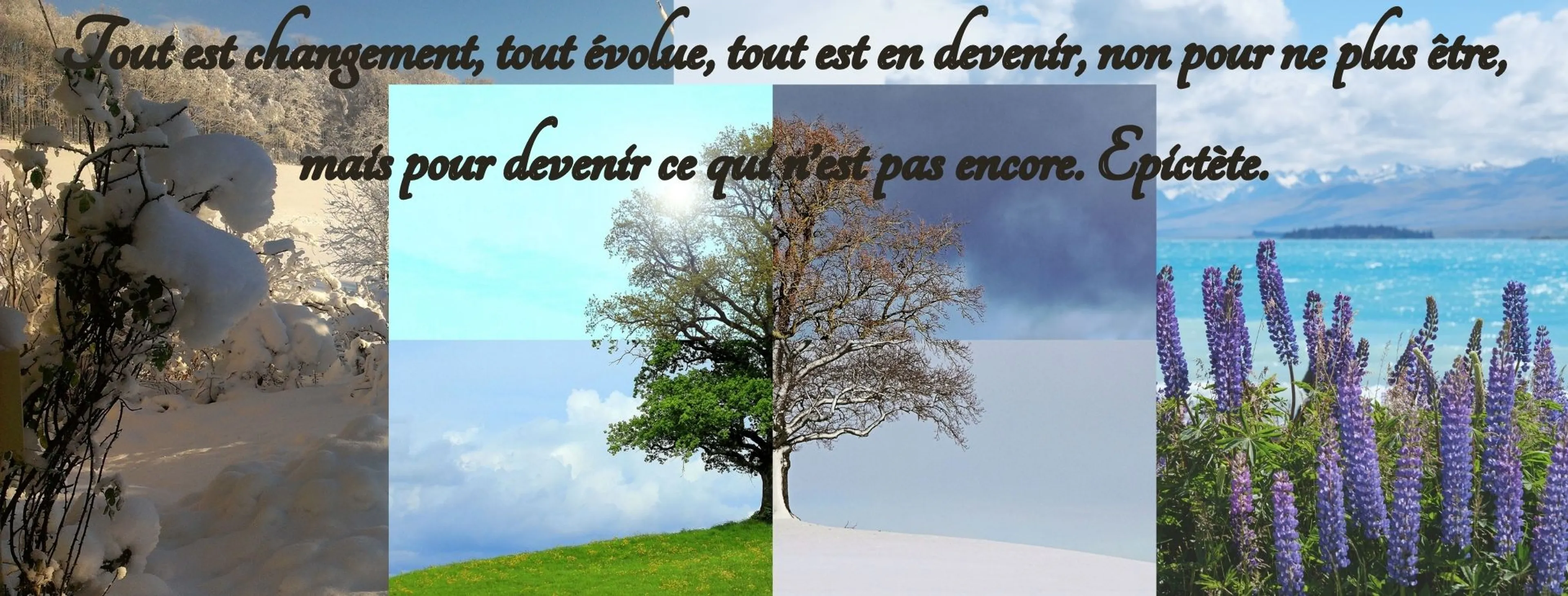 Image de présentation pour l'offre Coaching TDAH par Coach&Hyper
