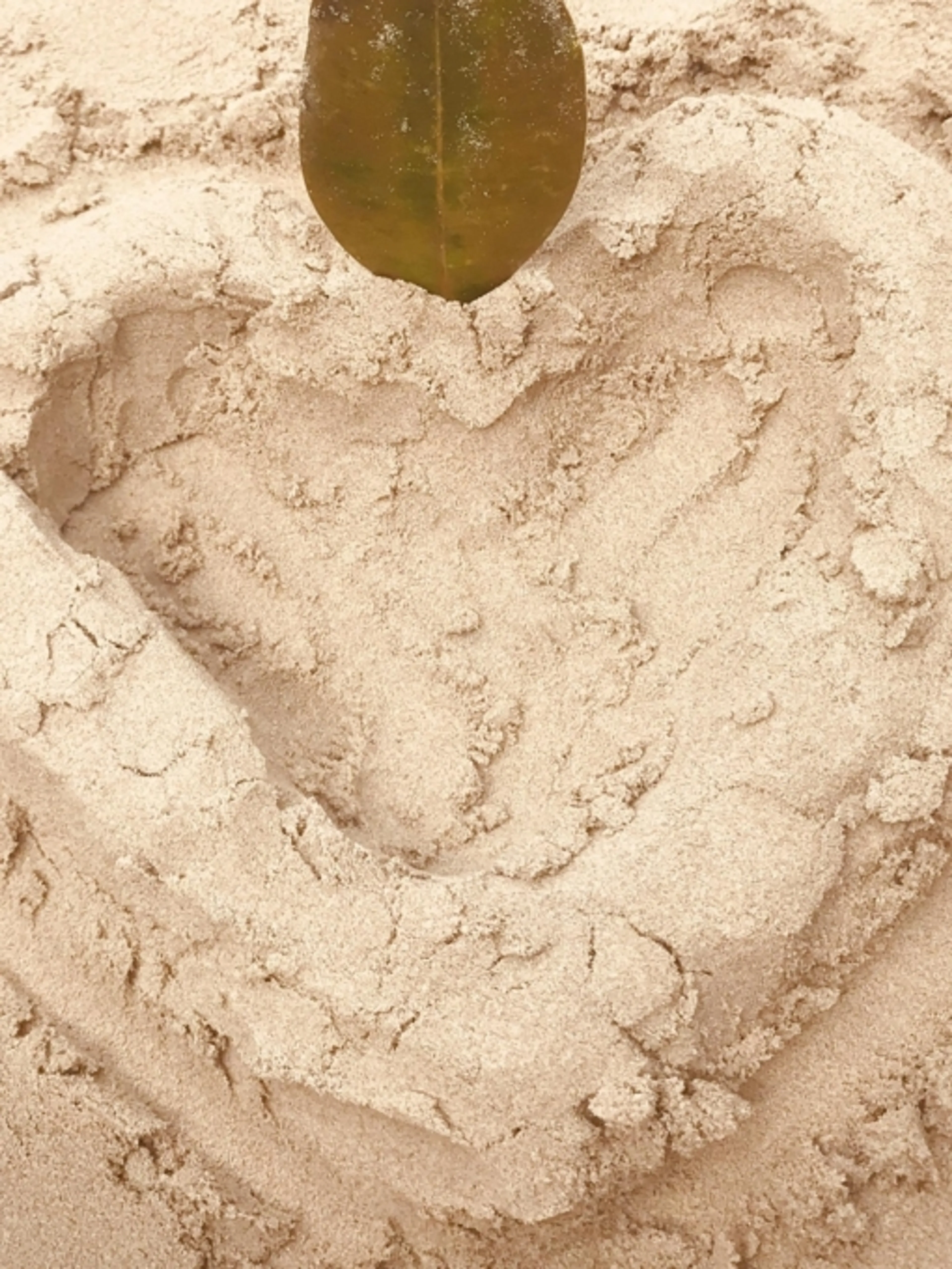 Image de présentation pour l'offre Coach en amour et bien-être. L’amour est l’ingrédient nécessaire à notre bien-être. par Flora