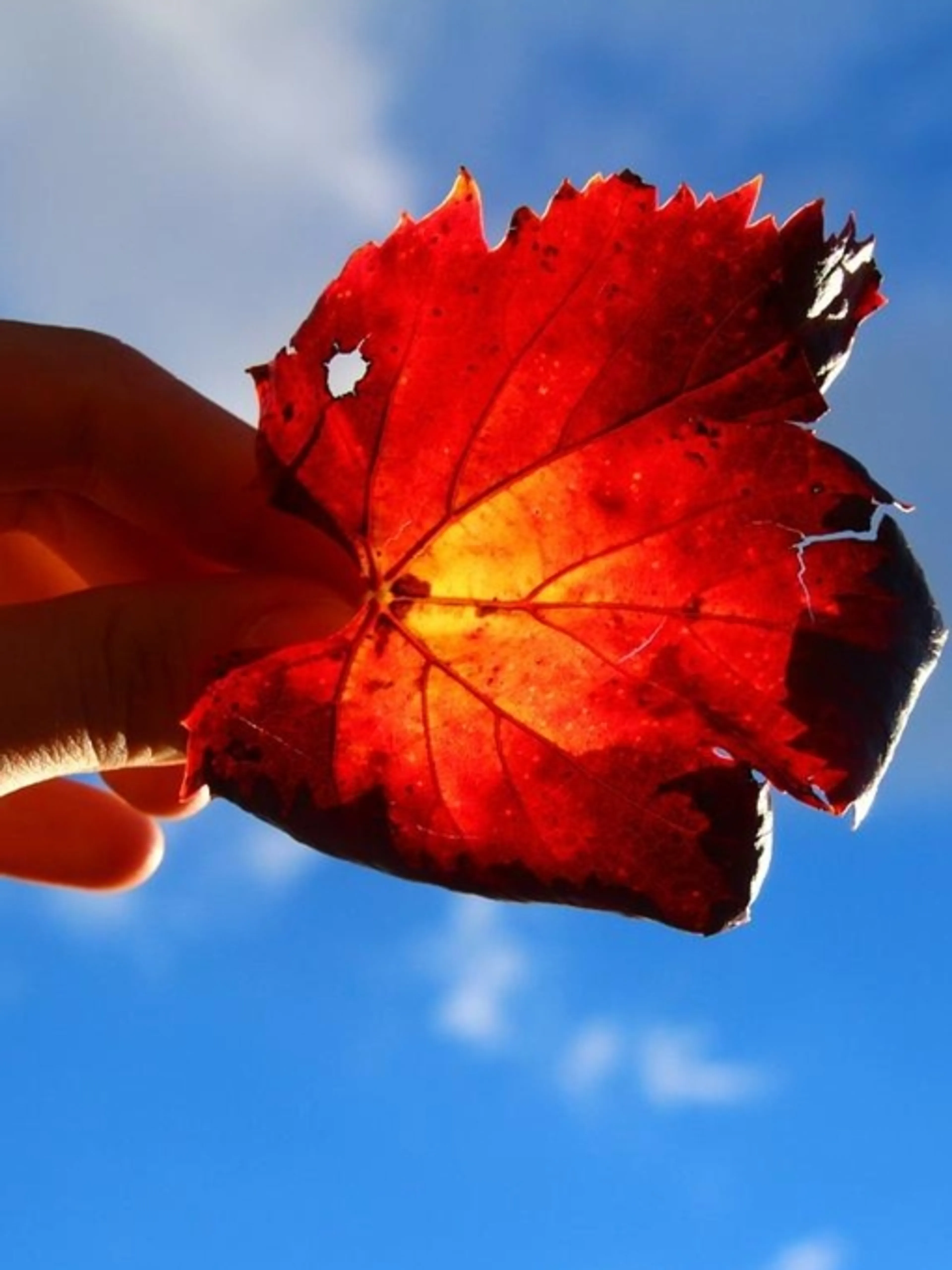 Séance de coaching sur une problématique personnelle dans un contexte de transition de vie, aide à une prise de décision, ou autre sujet ponctuel