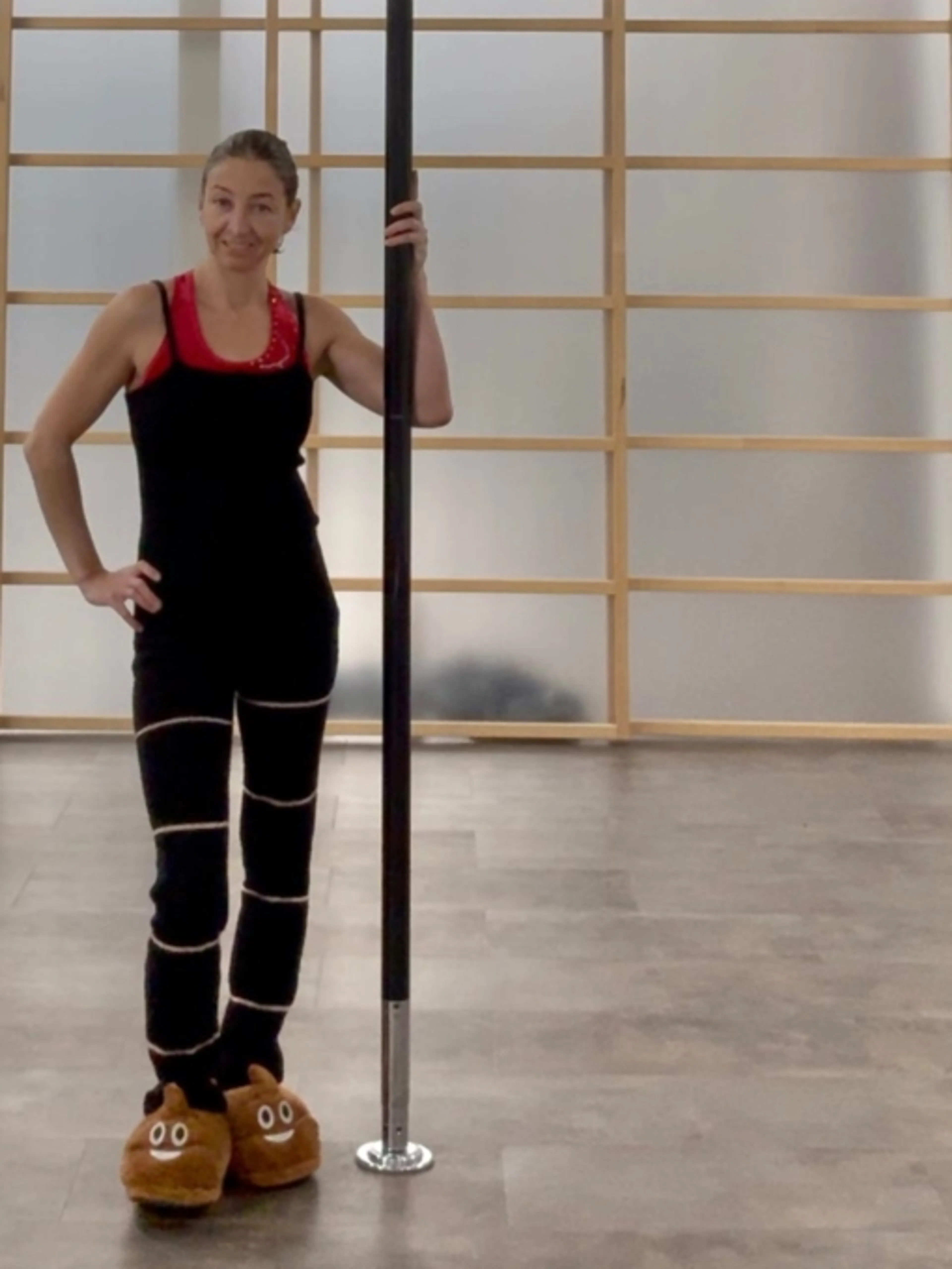 Image de présentation pour l'offre Masterclass Pole Dance Mensuelle Spéciale Débutantes – Progresse sans te décourager ! par Ninie