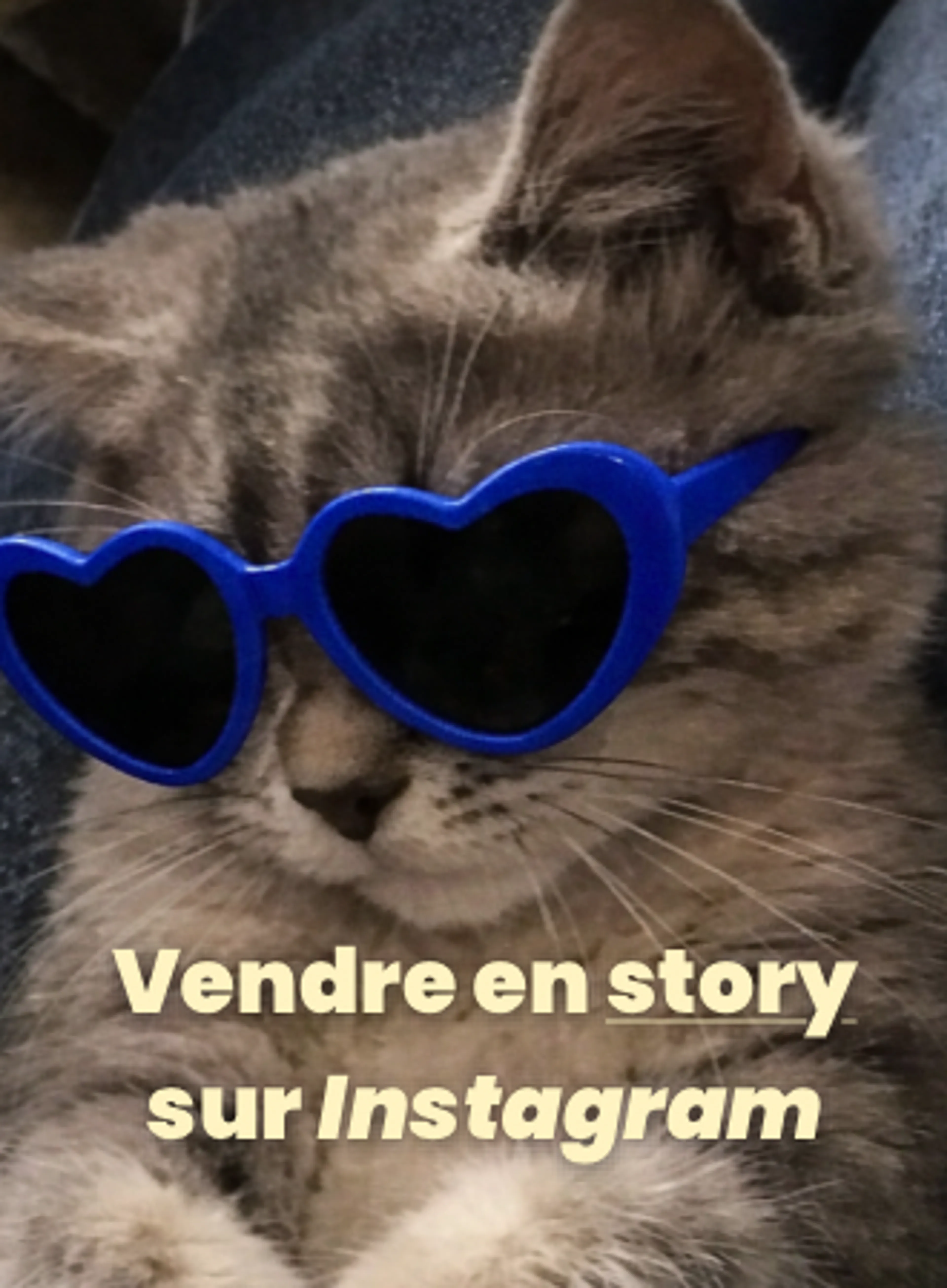 Stories Instagram : créer du lien, de la confiance et des ventes (sans forcer)