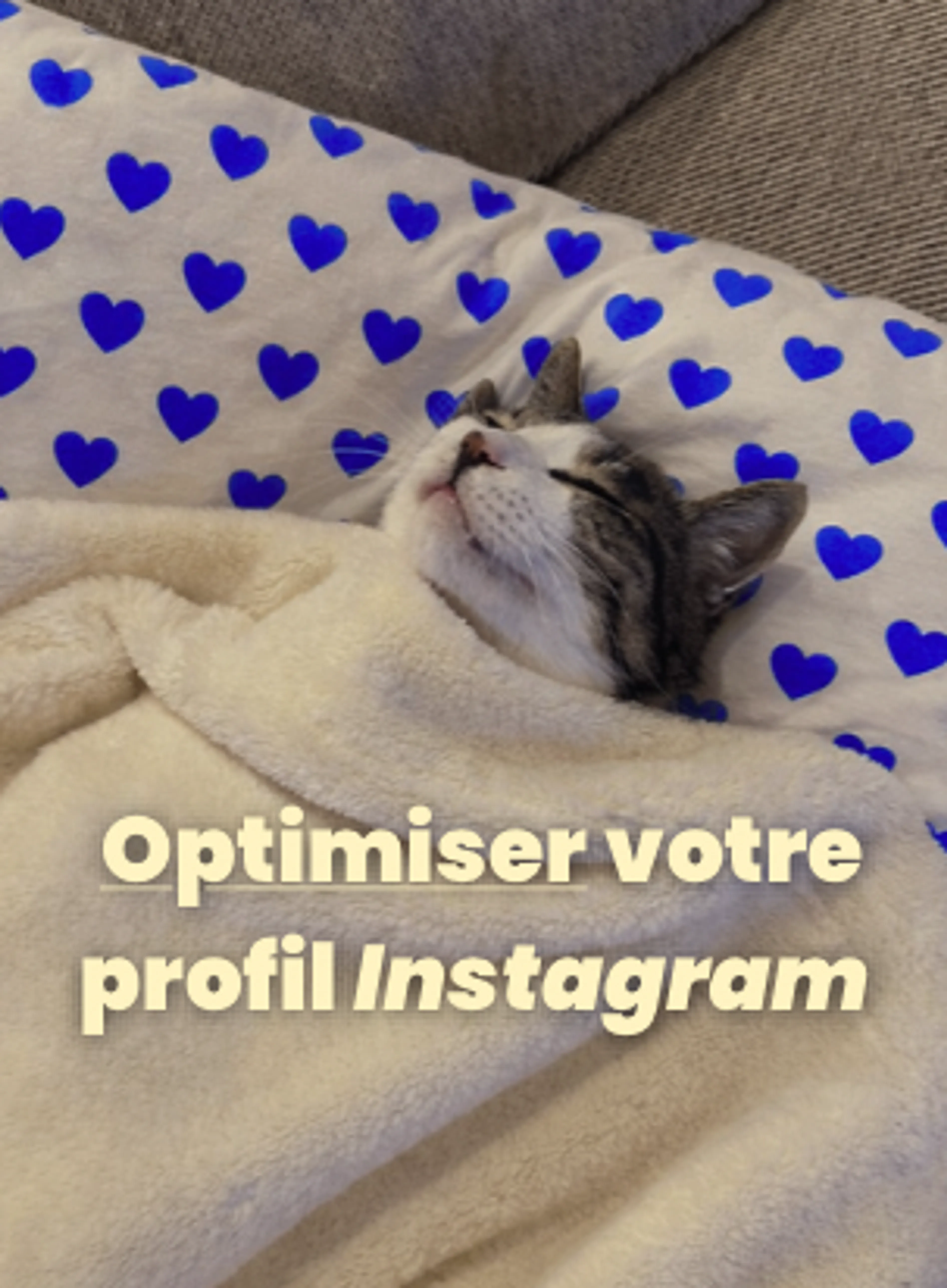 Optimiser son compte Instagram pour qu’il travaille pour vous