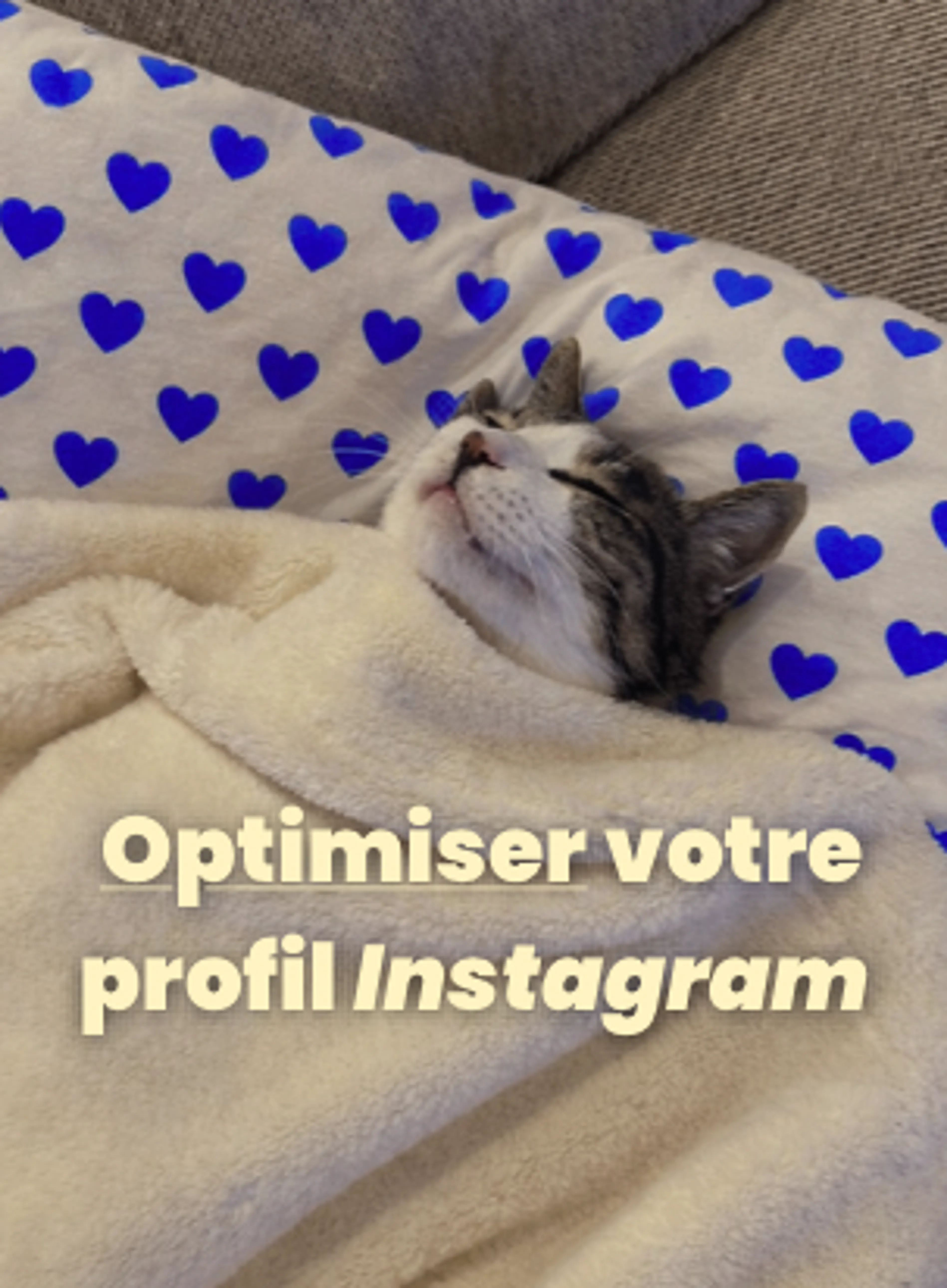 Image de présentation pour l'offre Optimiser son compte Instagram pour qu’il travaille pour vous par callmevoyou