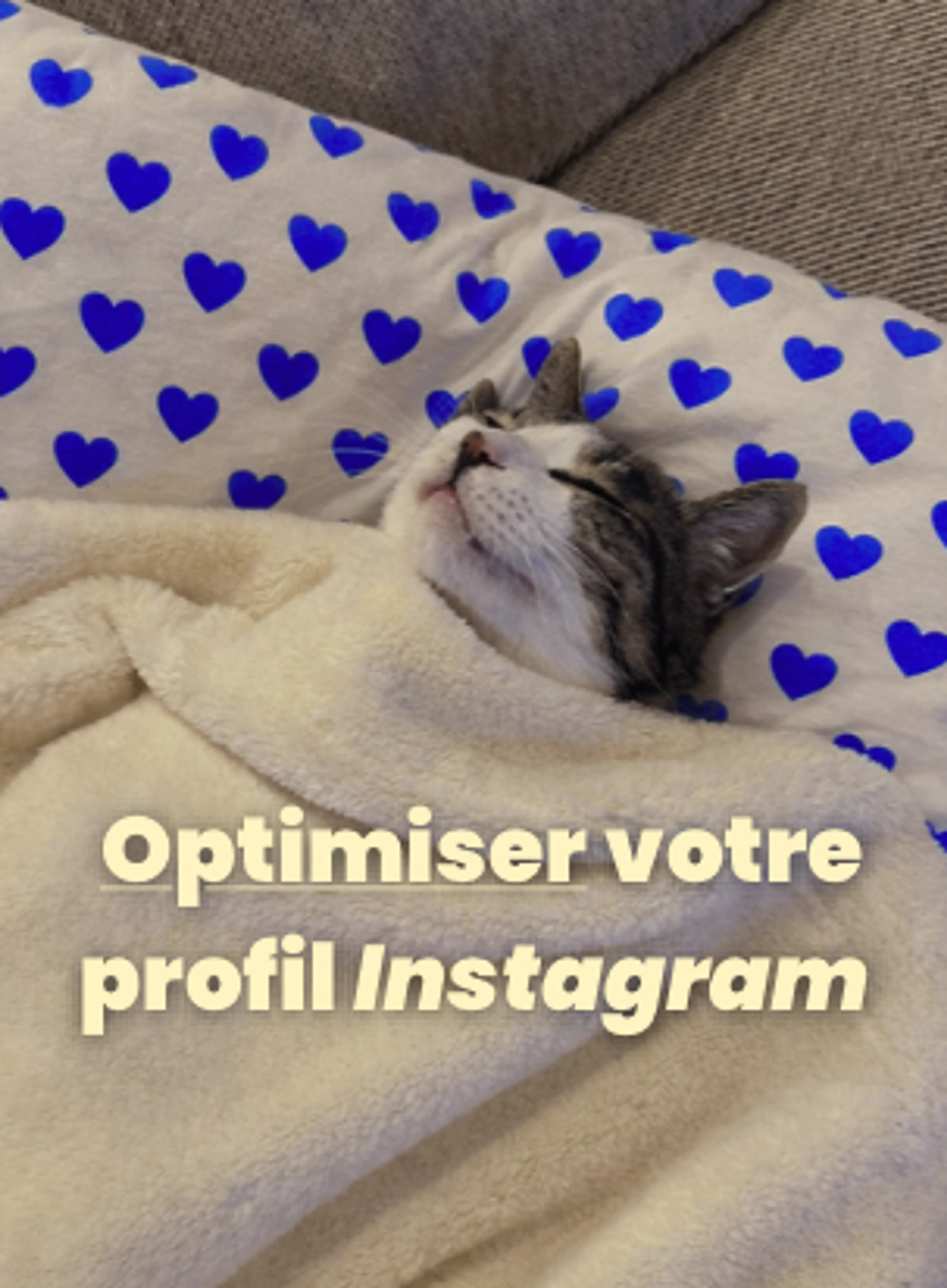 Optimiser son compte Instagram pour qu’il travaille pour vous