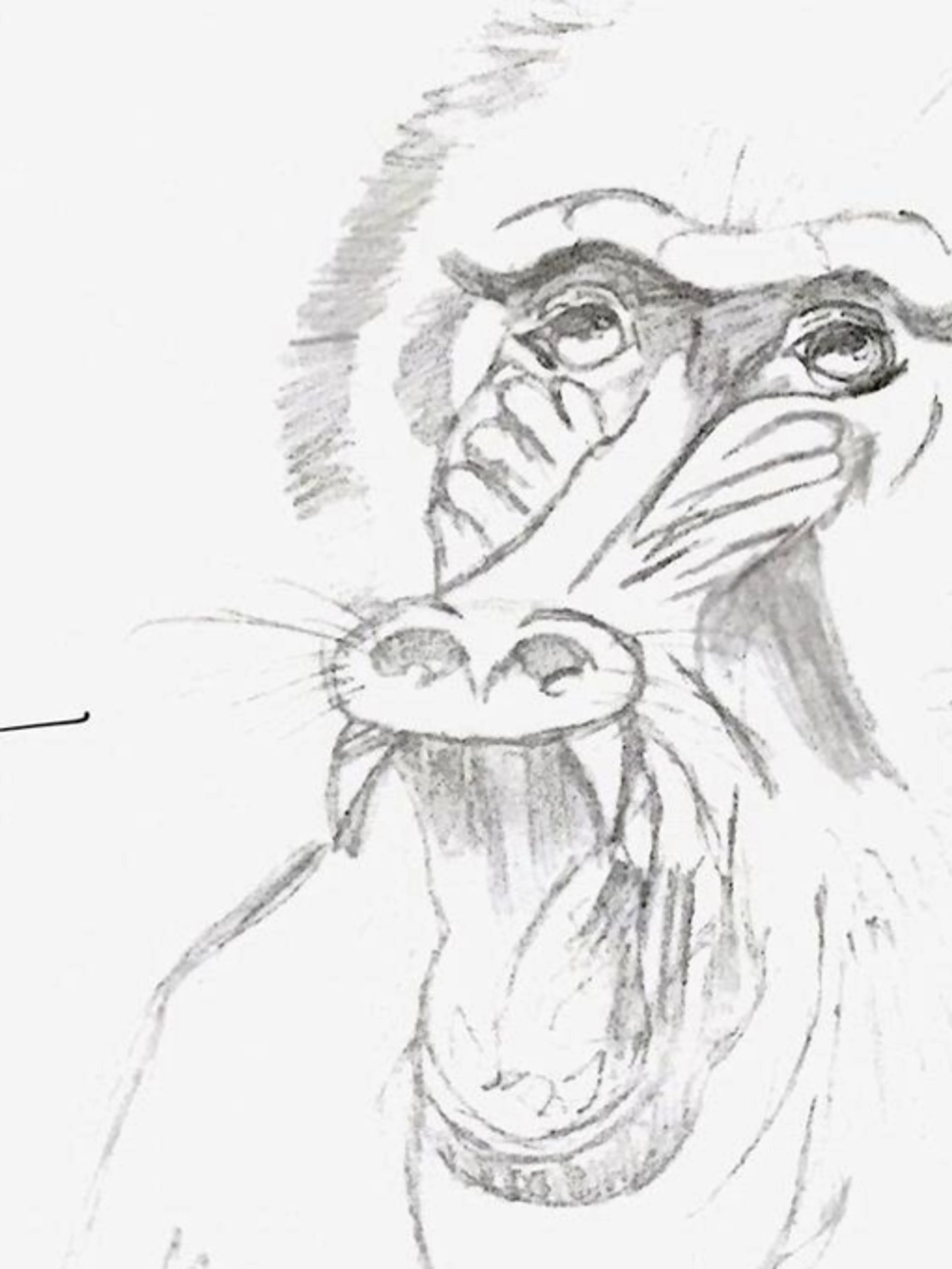 Image de présentation pour l'offre Cours de dessins, et de méthode pour s'améliorer par Nadège