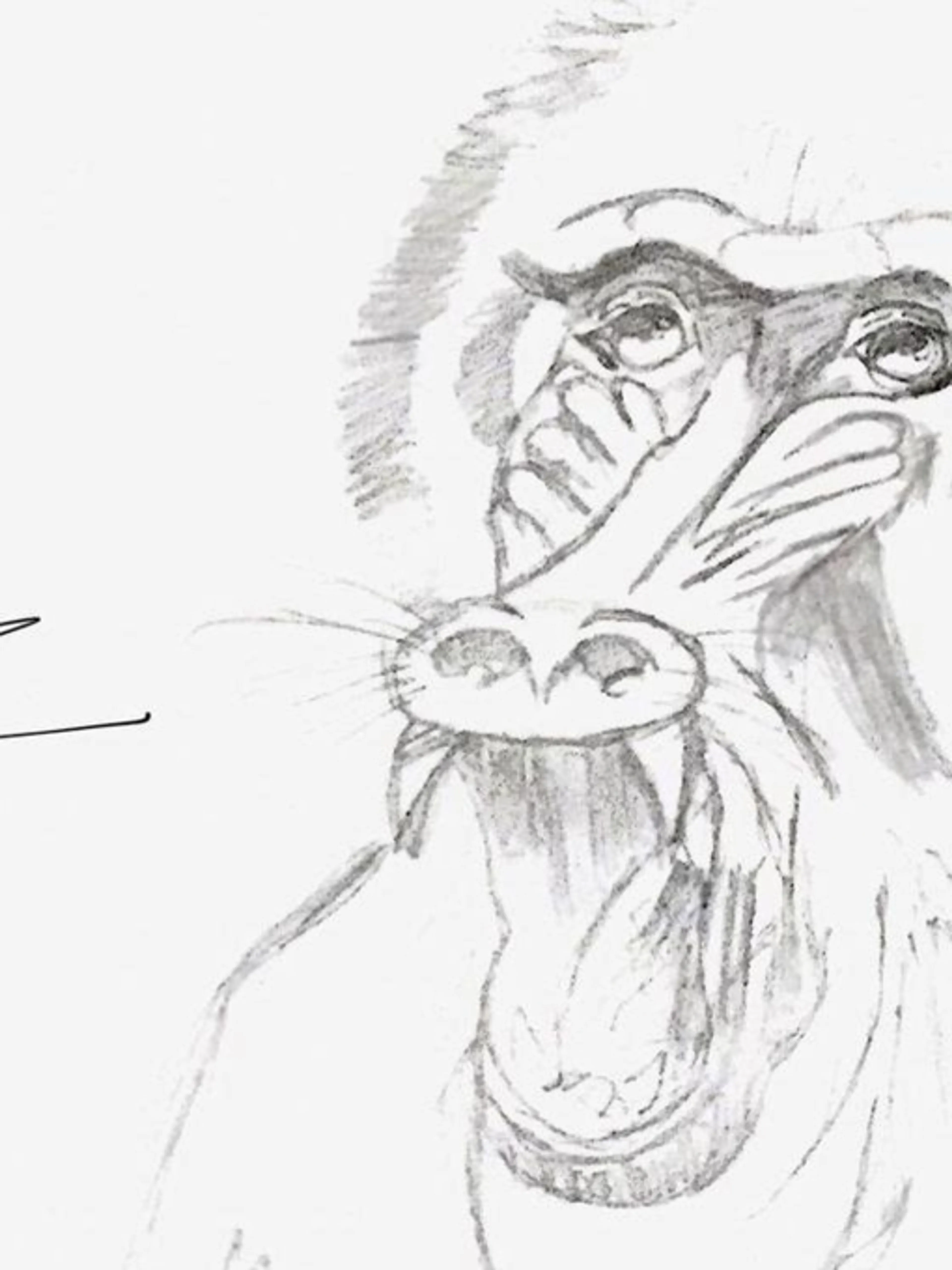 Image de présentation pour l'offre Cours de dessins par Nadège