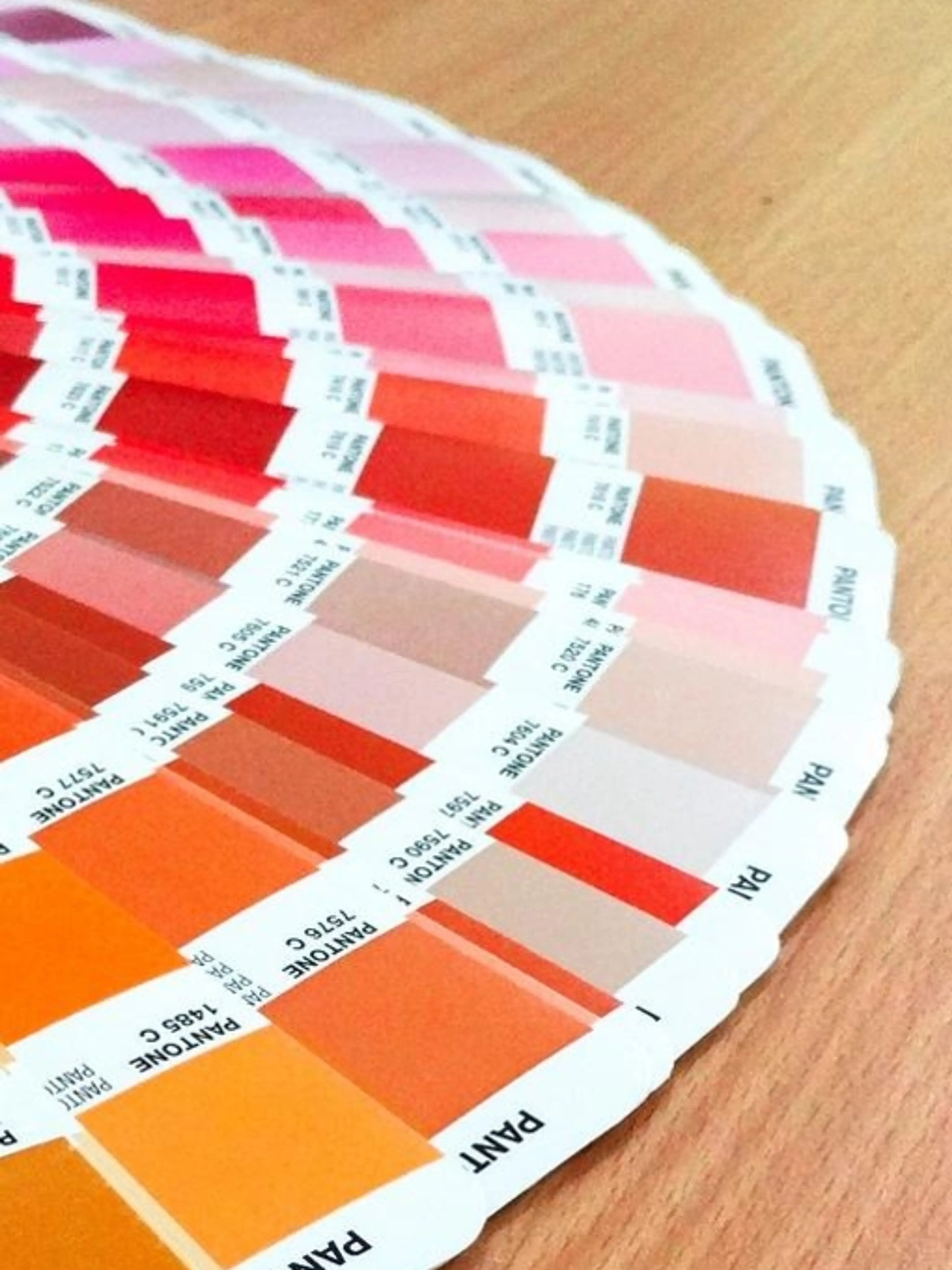 Image de présentation pour l'offre Explorez la magie des couleurs avec ma séance conseils & astuces en décoration intérieure ! Tout niveau! par Nurhan