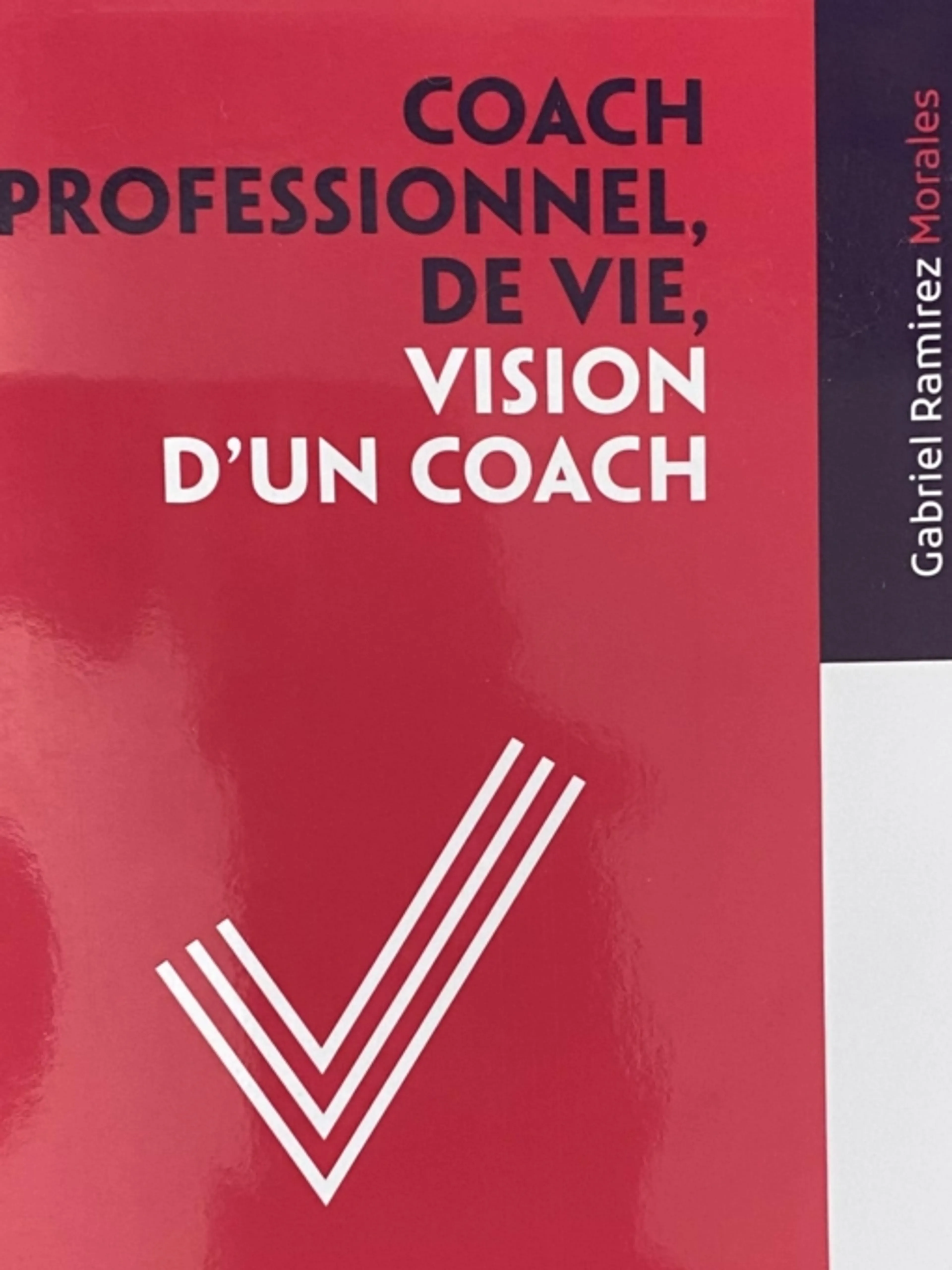 Image de présentation pour l'offre Coaching professionnel pour le changement de posture par Gabriel