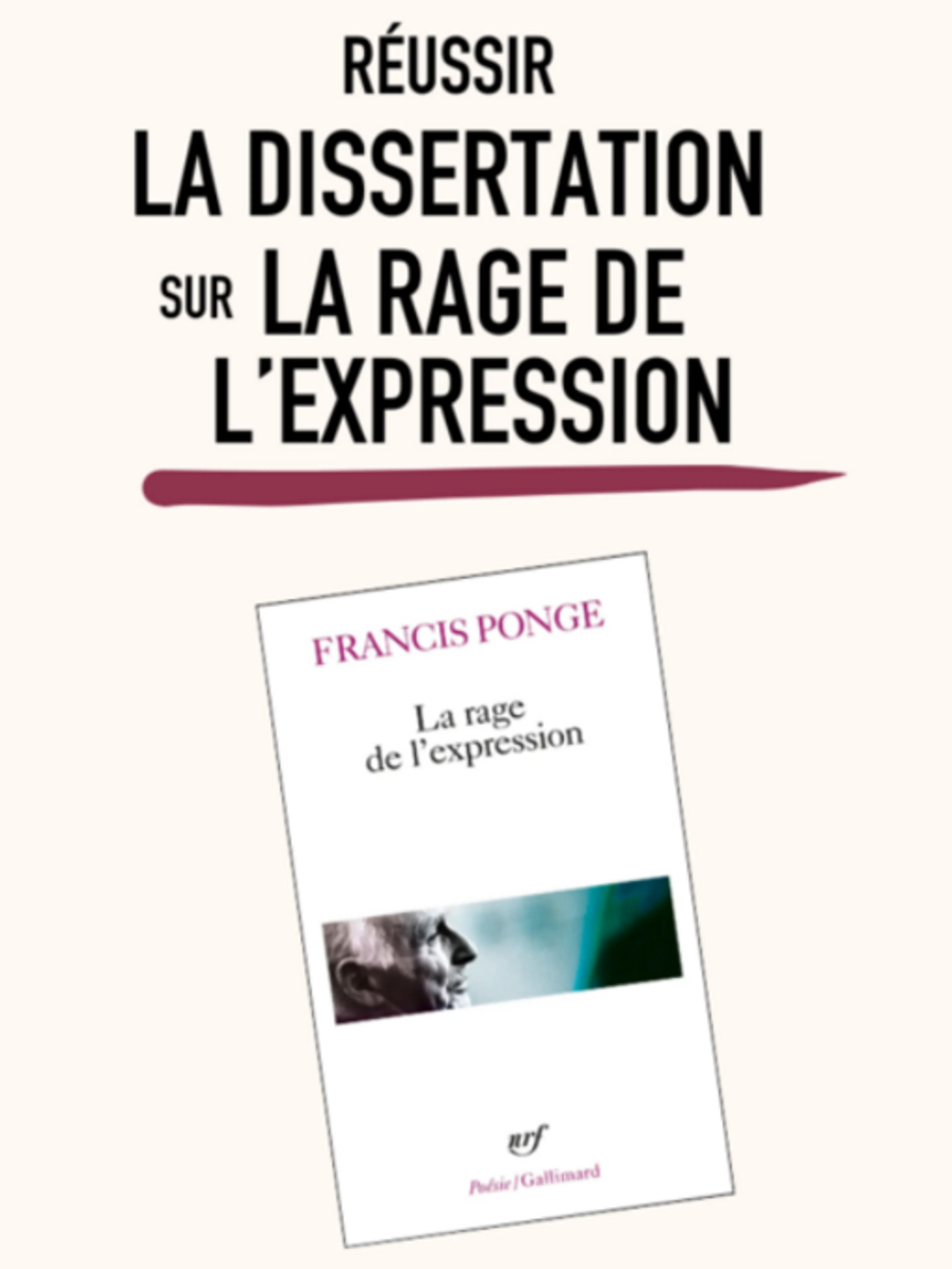 Réussir la dissertation sur La Rage de l'expression 2026