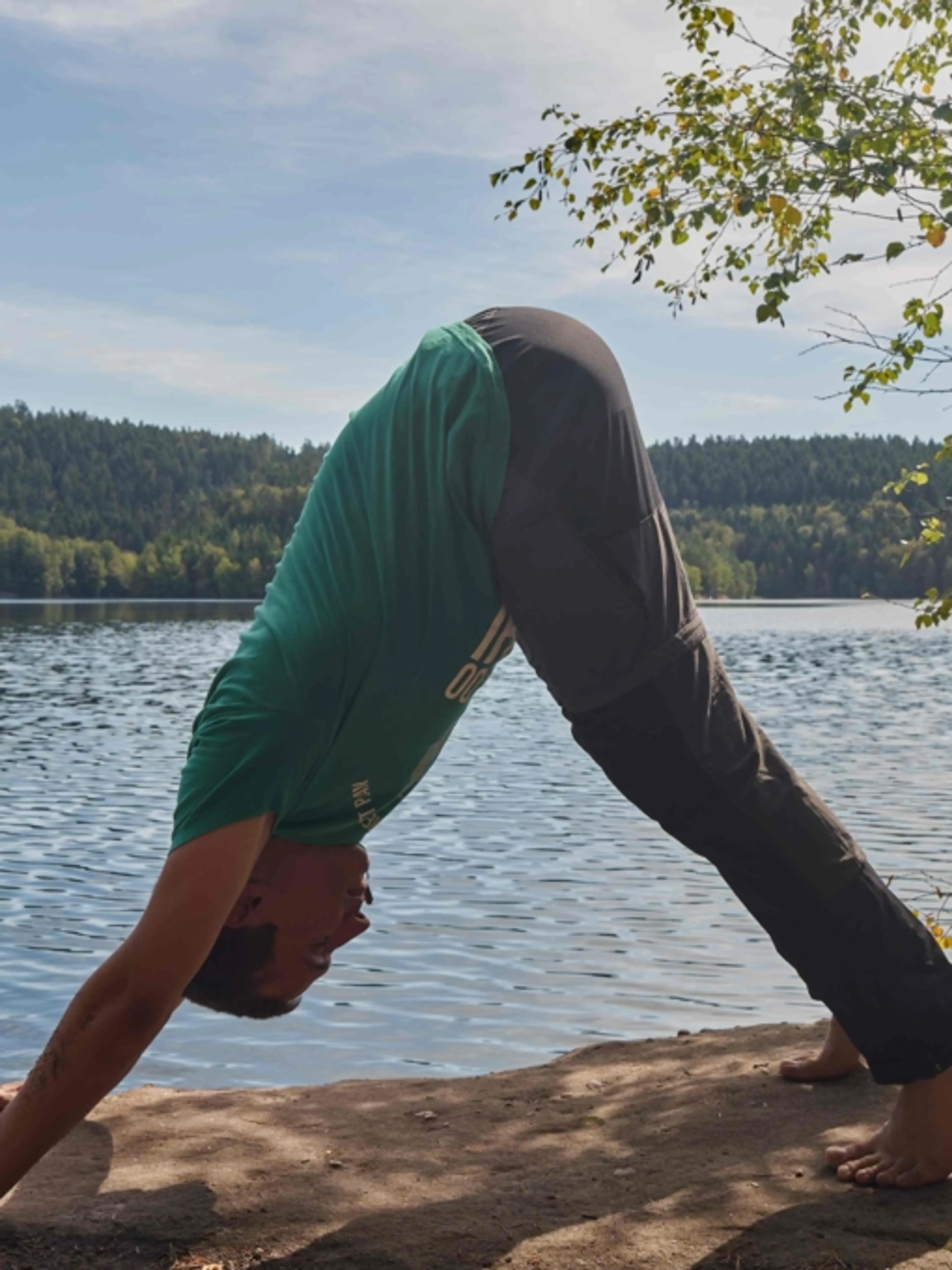 Image de présentation pour l'offre Séance de Yoga Vinyasa - Salutation au Soleil A + B (cours collectif privé). par Quentin