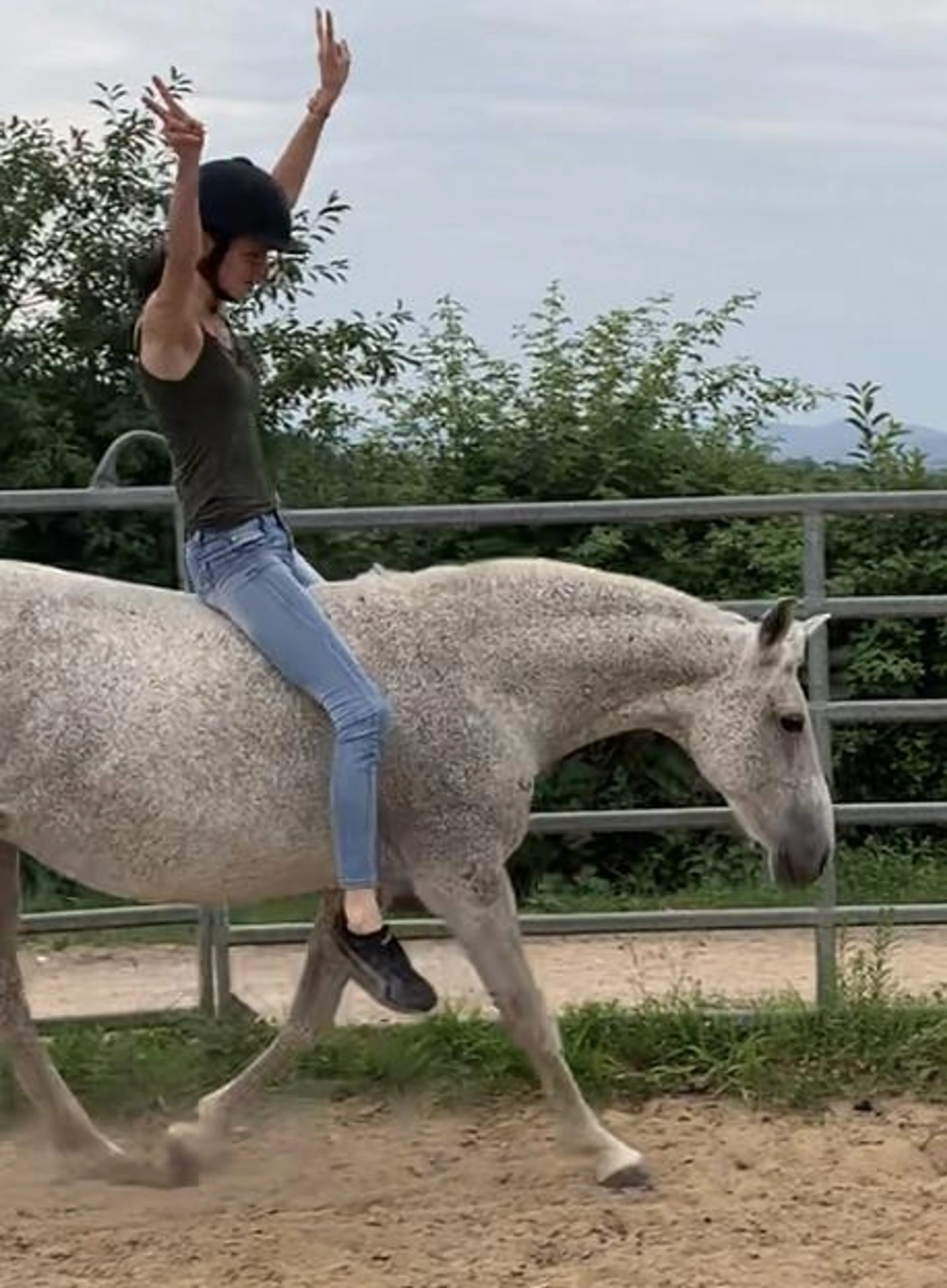 Image de présentation pour l'offre Maîtrisez l'art de prendre soin de votre cheval de sport: Guide expert en 30 minutes ! par Suzon