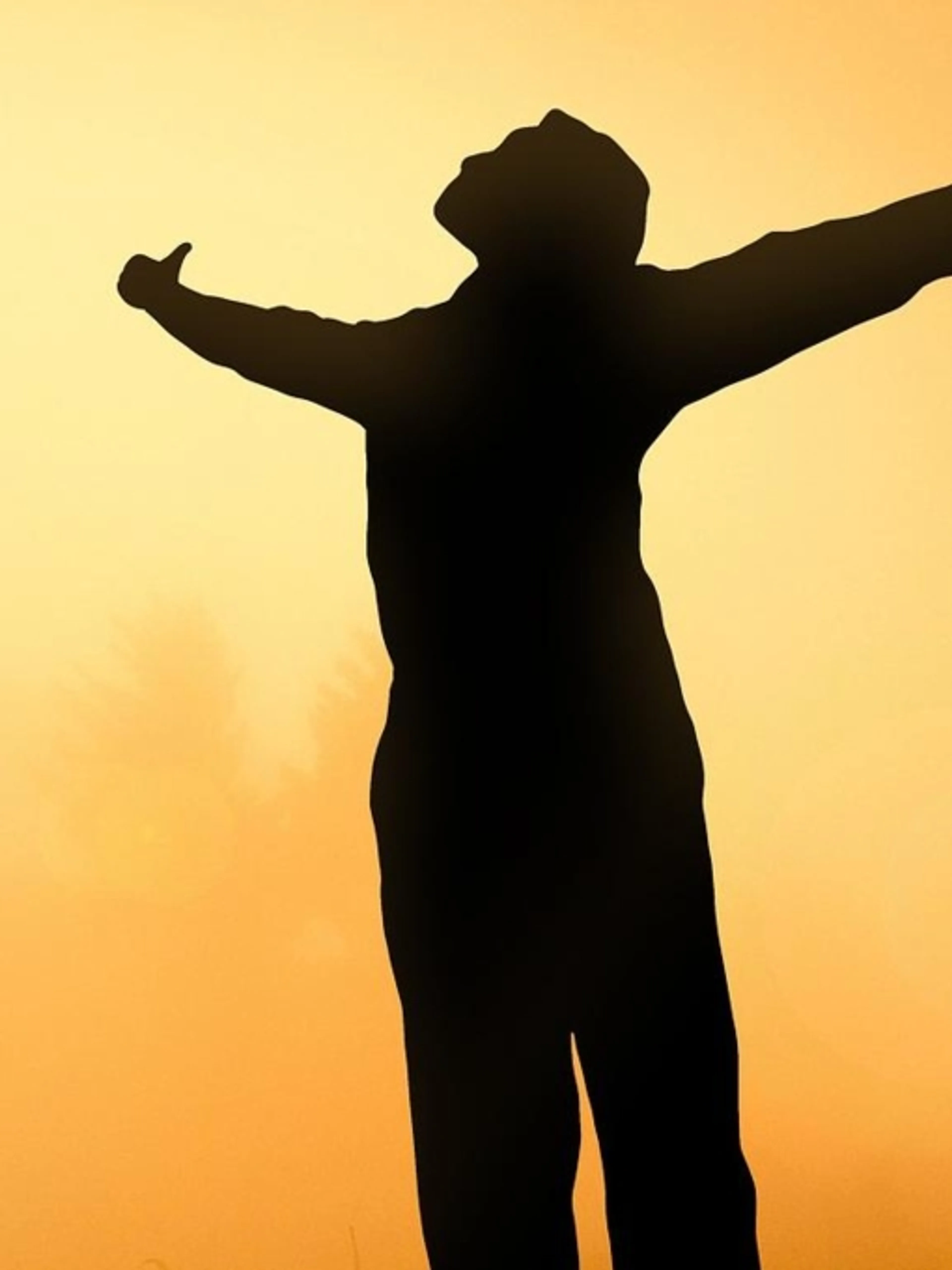 Image de présentation pour l'offre Techniques de Self-Défense(Kyokushinkai)
Flexibilité
Résilience Physique
Conscience de la Respiration
Renforcement du Core
Récupération par Clau
