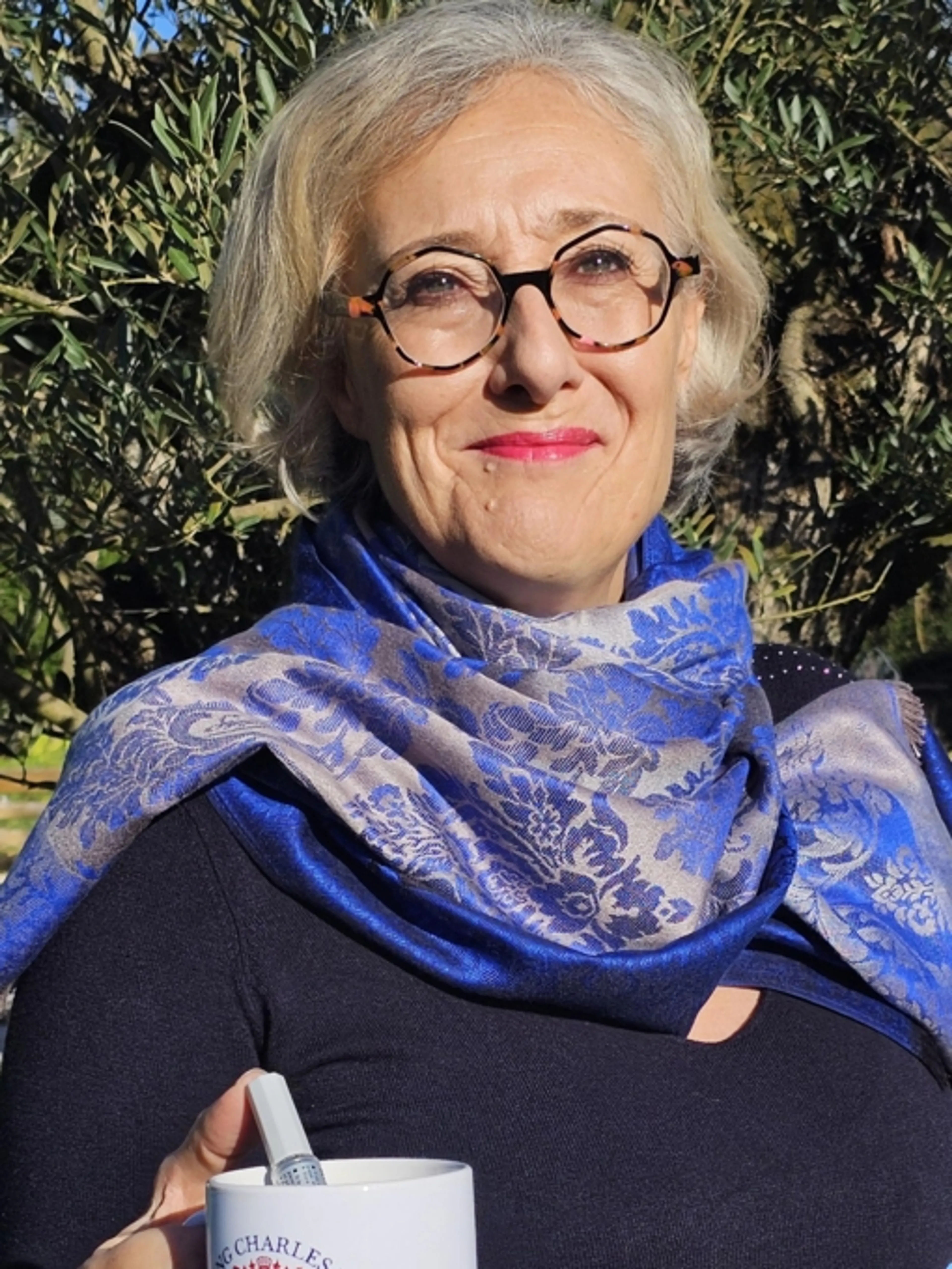 Image de présentation pour l'offre Maîtrise Be et Have Got en 6ème - Cours collectif ludique par Véronique/ Anglais utile facile