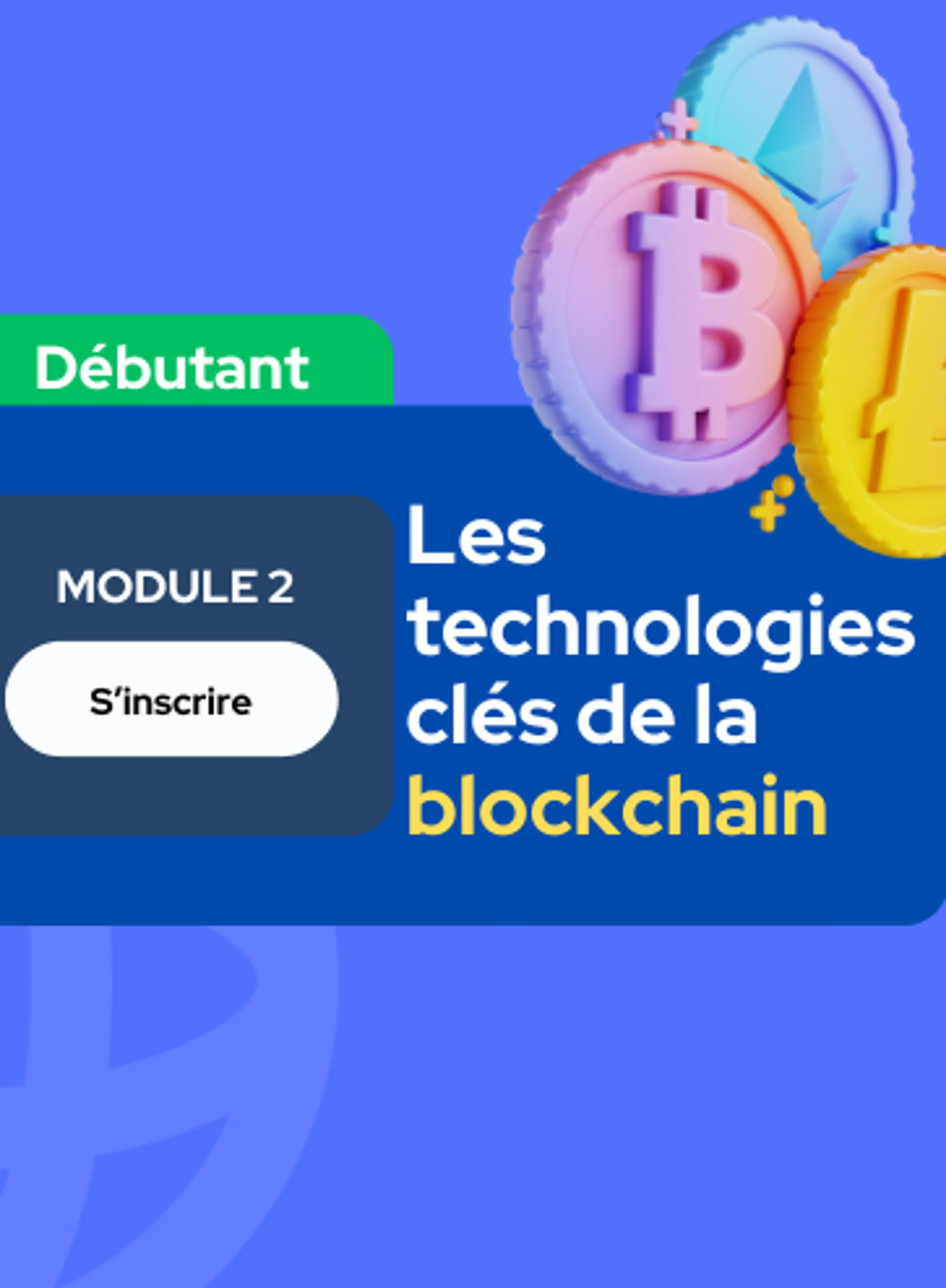 Image de présentation pour l'offre [Débutant] Module 2 : Les technologies clés de la blockchain par Juliette